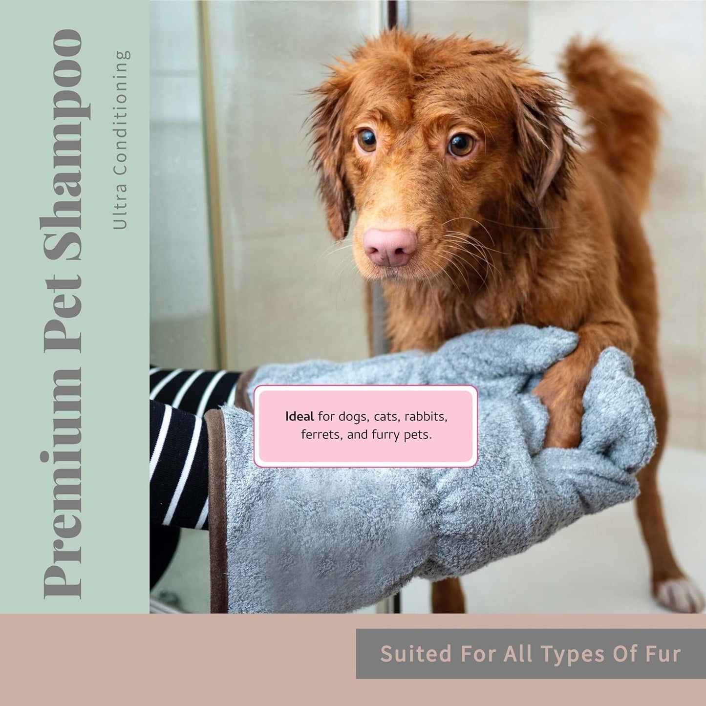 Begley's No Rinse Waterless Pet Shampoo, Bathless Cleaning, Deodorizing, and Odor Removal for a Shiny, Fresh Smelling Coat - Effective for Dogs, Puppies, and Cats - Refill, Fresh Citrus