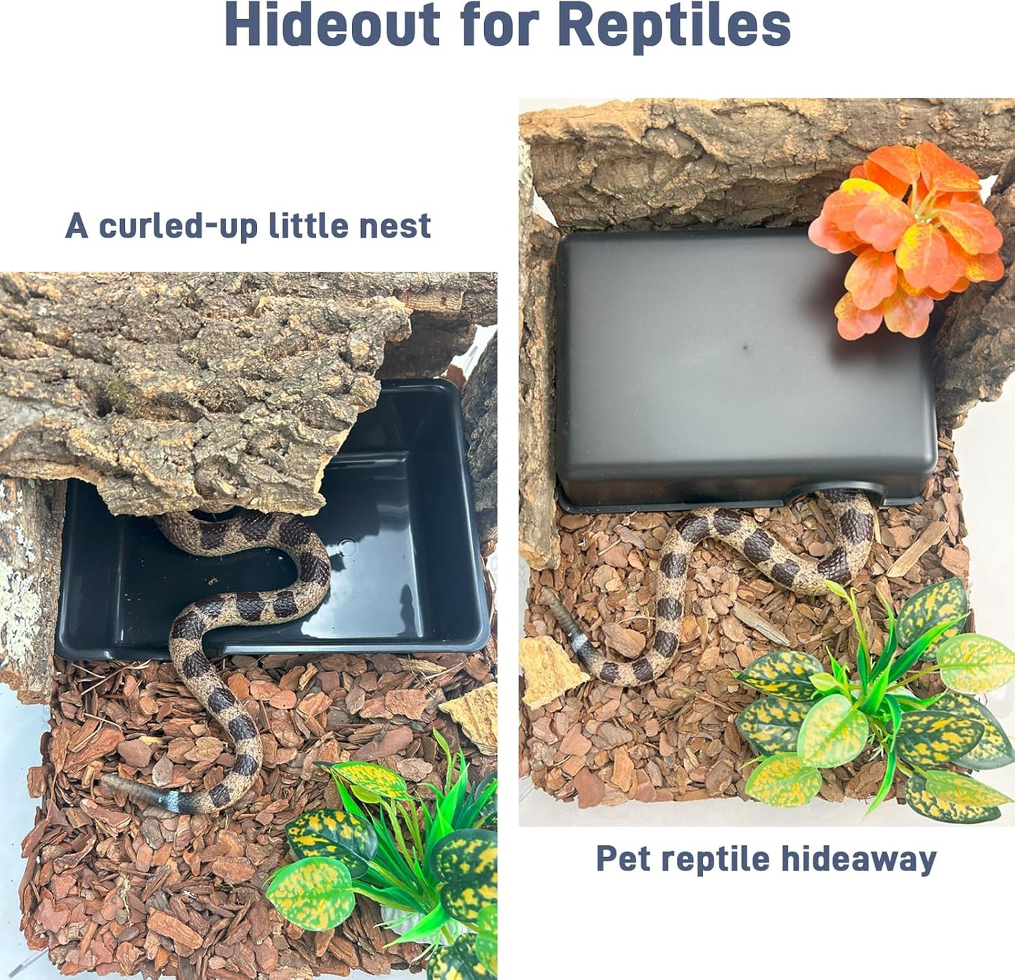 Large Humid Hideout Cave for Reptiles, Snake Hide for Ball Pythons, Gecko Hide, Leopard Geckos, Bearded Dragons,Compact Terrarium Decor with Easy-Clean Design (9.5"x6.7"x2.2")