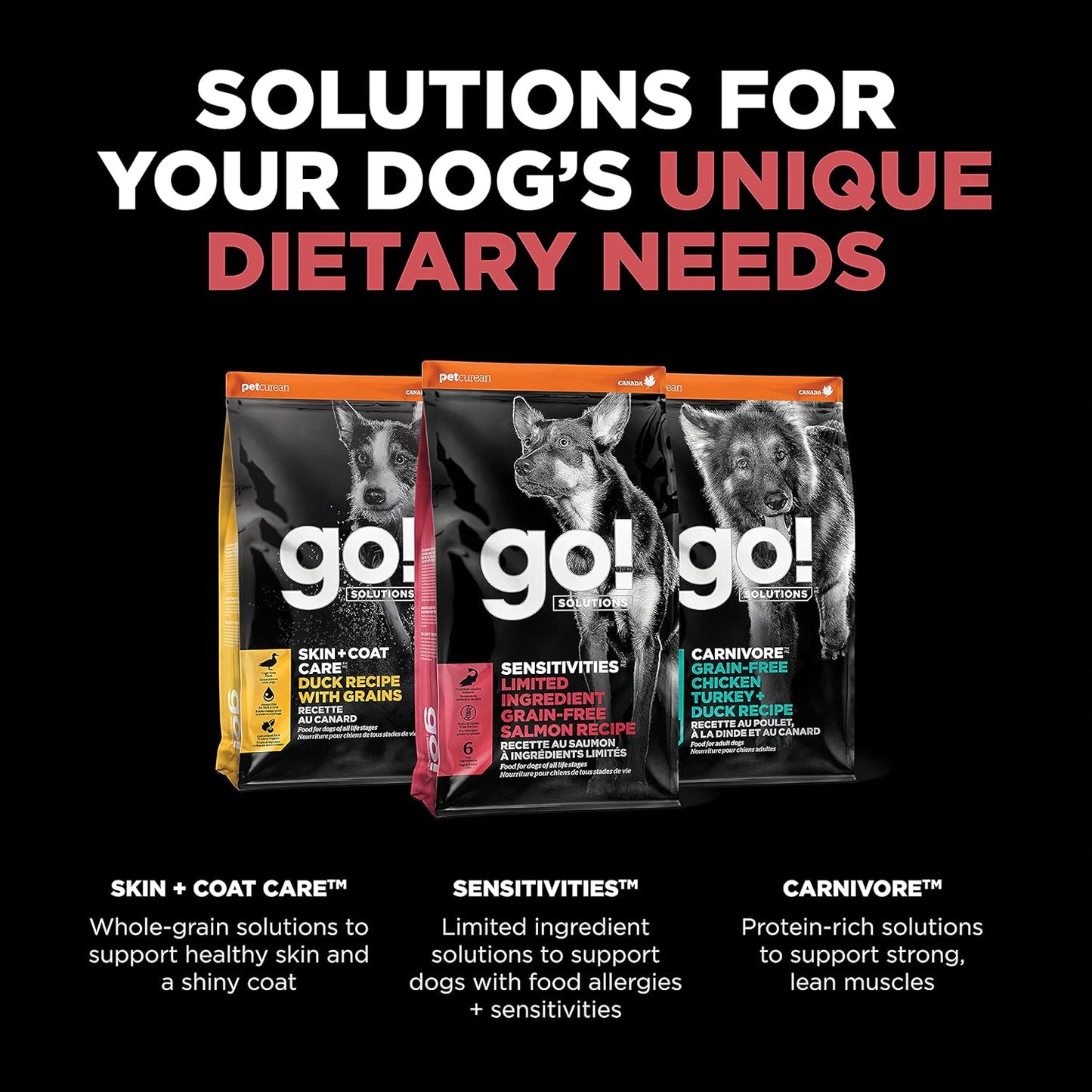 Go! Solutions Sensitivities Limited Ingredients, Grain-Free Dry Dog Food, Salmon Recipe for Sensitive Stomach, 22 lb Bag