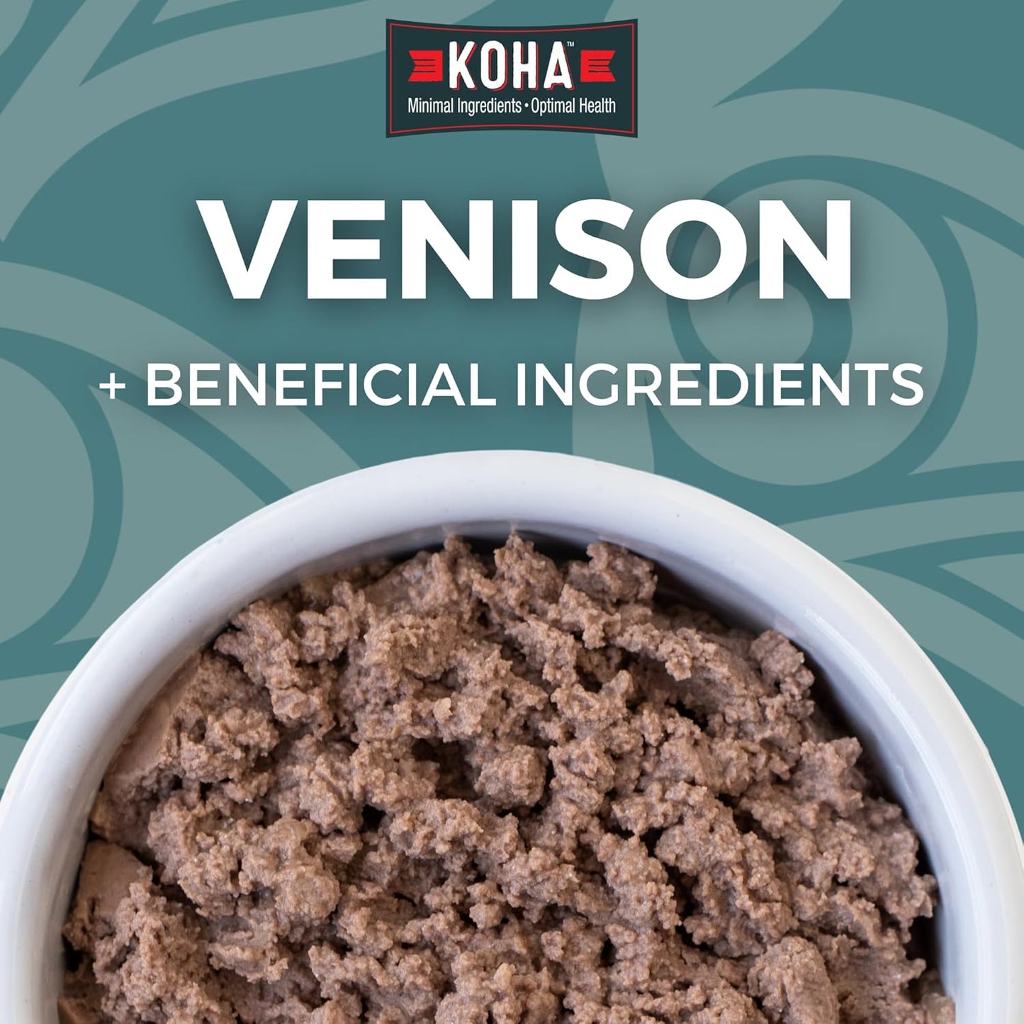 KOHA Limited Ingredient Diet Venison Paté for Cats - Single Meat Cat Food for Sensitive Stomachs - Paté Venison Cat Food with No Fillers - 5.5 oz Pack of 24