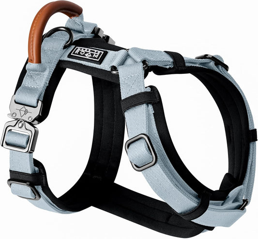 MADE TO ROAM Premium Explorer Harness - Y-Shaped Dog Harness with Adjustable Durable Nylon, Soft Padding, Metal Buckles and Leather Handle for Small, Medium, Large Dogs (Alaska Daybreak, Size 5)