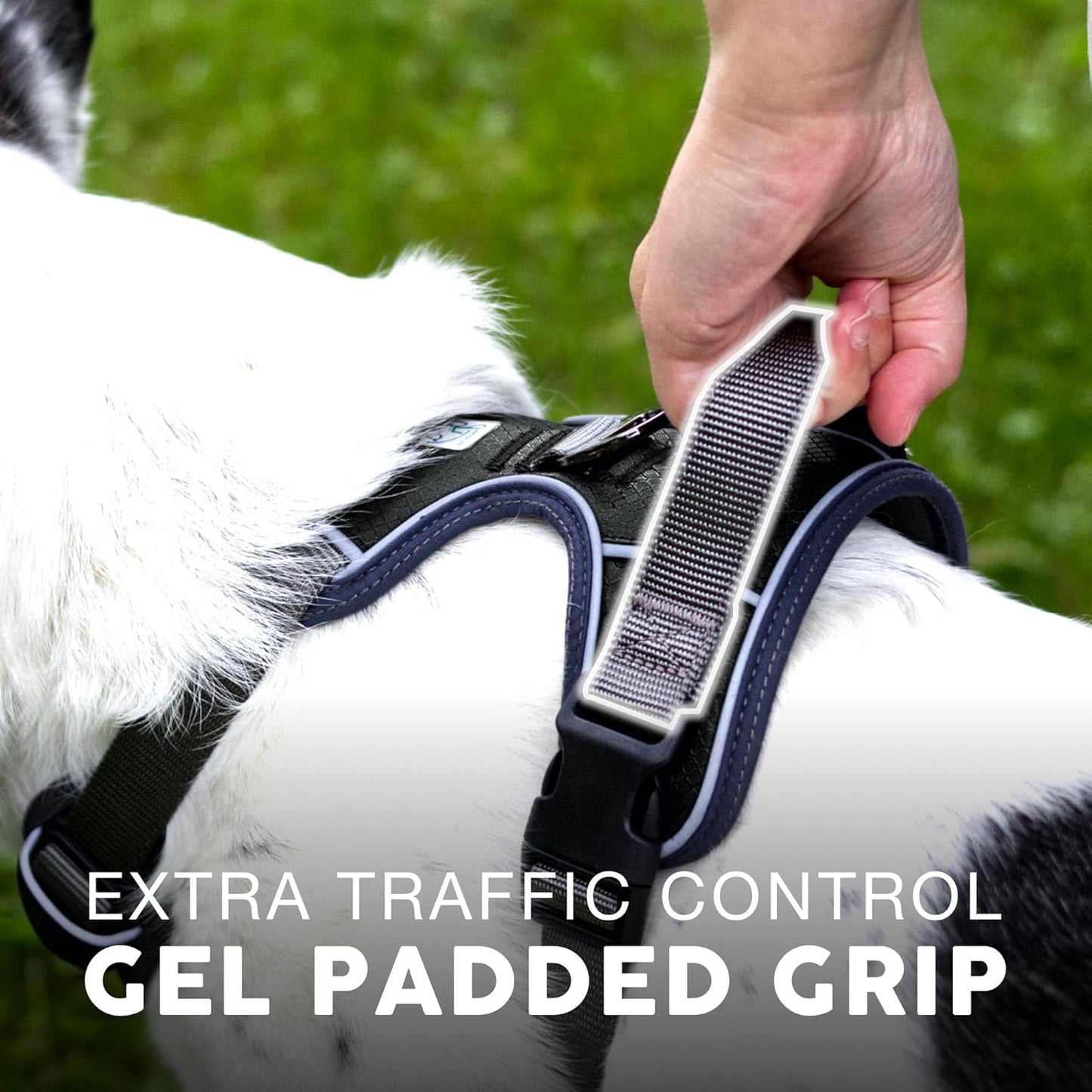 Embark Adventure Dog Harness, Reflective Trim XL Harness for Extra Large Dogs No Pull - Military Grade Nylon, 2 Leash Clips & Gel Lined Handle. Soft & Padded Puppy Dog for Any Breed