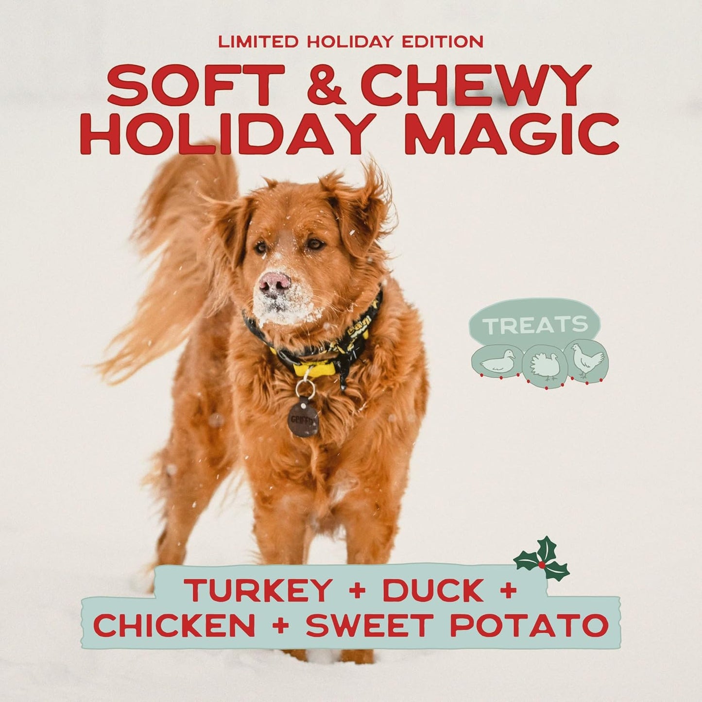 Smart Cookie Turducken Holiday Dog Treats - Turkey, Duck and Chicken Christmas Dog Treats - Healthy, All Natural, Grain Free, Human-Grade - Made in USA - 5oz (Pack of 3)