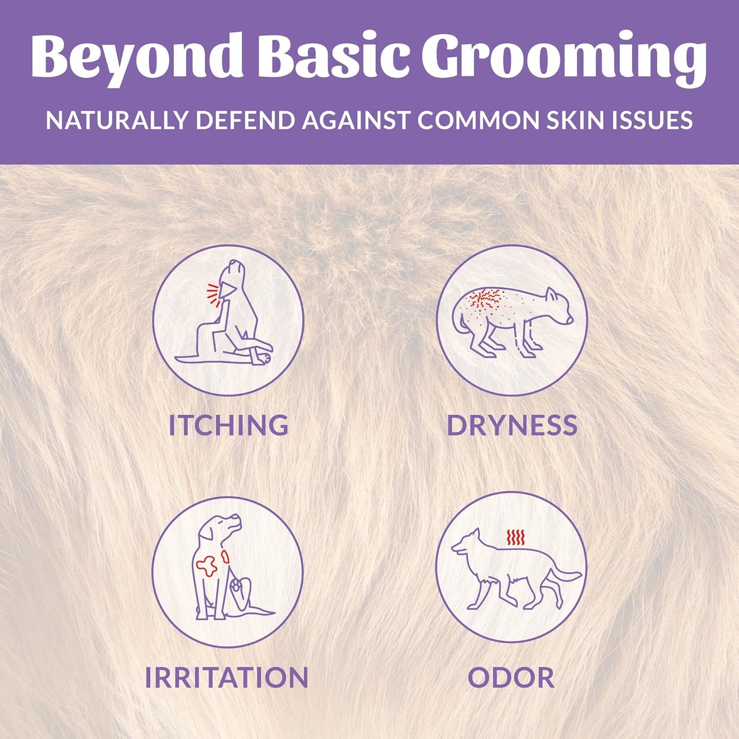 Skout's Honor Probiotic Dog Shampoo & Conditioner with Avocado Oil & Omega-3s, 97% Natural, Paraben & Sulfate-Free, Cruelty-Free, 16oz, Lavender