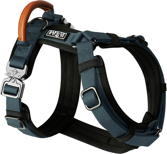 MADE TO ROAM Premium Explorer Harness - Y-Shaped Dog Harness with Adjustable Durable Nylon, Soft Padding, Metal Buckles and Leather Handle for Small, Medium, Large Dogs (Colorado Nightsky, Size 7)