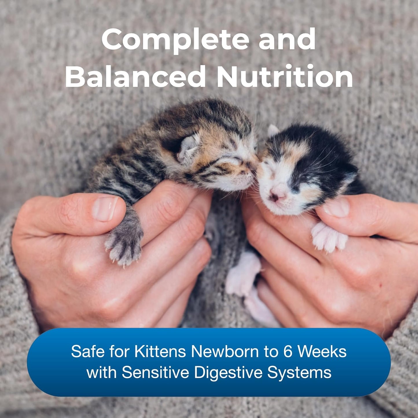 PetAg Goat’s Milk KMR Kitten Milk Replacer Powder - 12 oz - Powdered Kitten Formula with Prebiotics, Probiotics & Vitamins for Kittens Newborn to Six Weeks Old - Easy to Digest