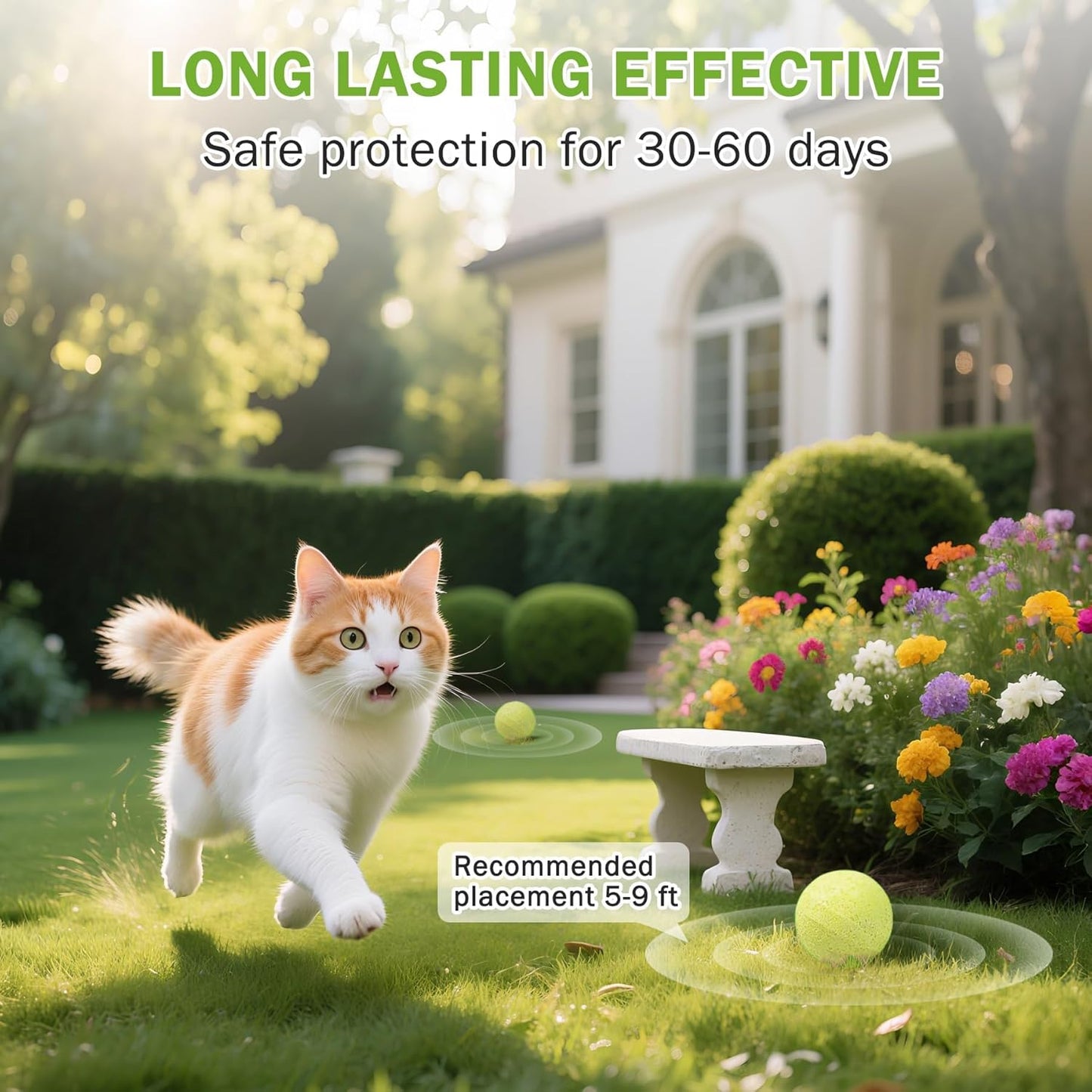 10Pack Cat Repellent Outdoor & Indoor: Natural Cat Deterrent Essential Oils Ball-Natural Extract Essential Oil, Anti Cat Scratch for Furniture, Keep Cats Off Yard Garden Lawn Plants Trash Can (10Pcs)