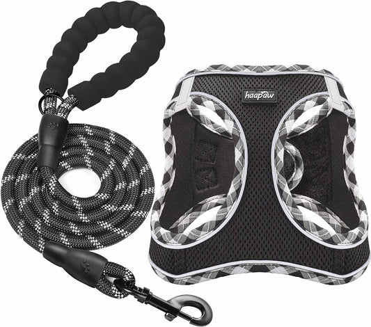 haapaw Dog Harness with Leash Set, No Pull Adjustable Reflective Step-in Puppy Harness with Thickened Padded Vest for Extra-Small/Small Medium Dogs