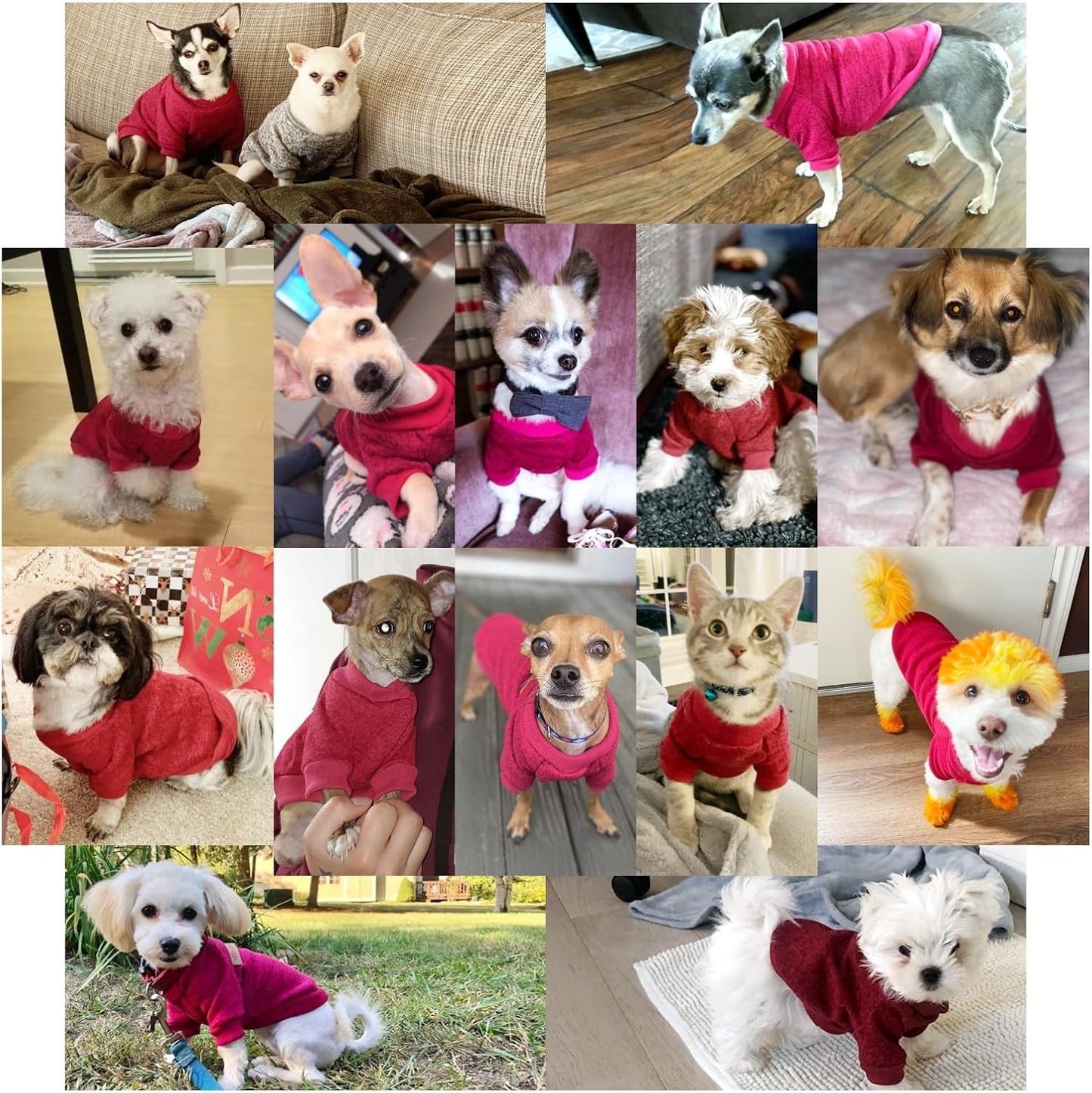 Jecikelon Dog Clothes Dogs Sweater Soft Puppies Clothing Winter Puppy Sweaters Warm Outfit for Dogs Small XXS XS Cat Apparel (Wine red, XXS)