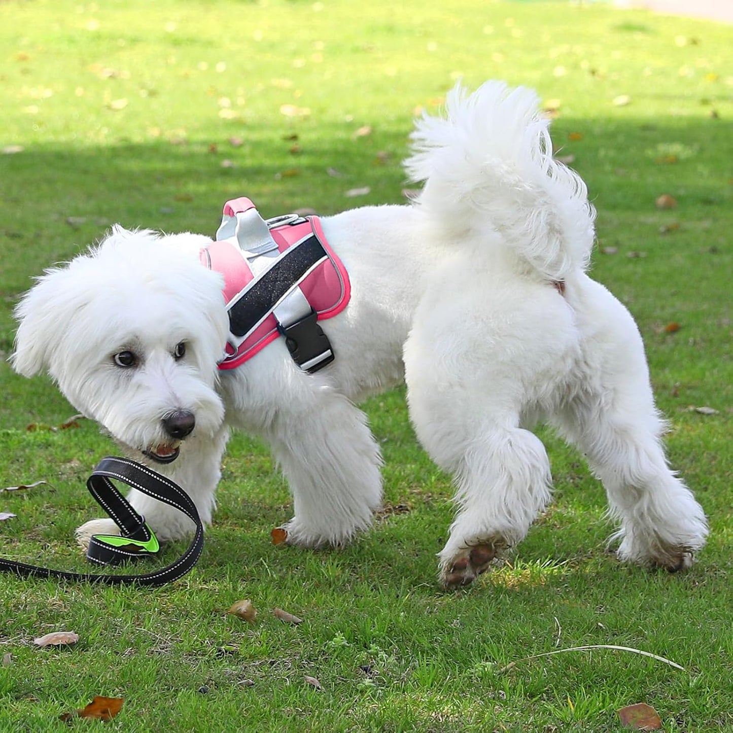 Bolux Dog Harness, No-Pull Reflective Dog Vest, Breathable Adjustable Pet Harness with Handle for Outdoor Walking - No More Pulling, Tugging or Choking (Fuchsia, XX-Large (Pack of 1))