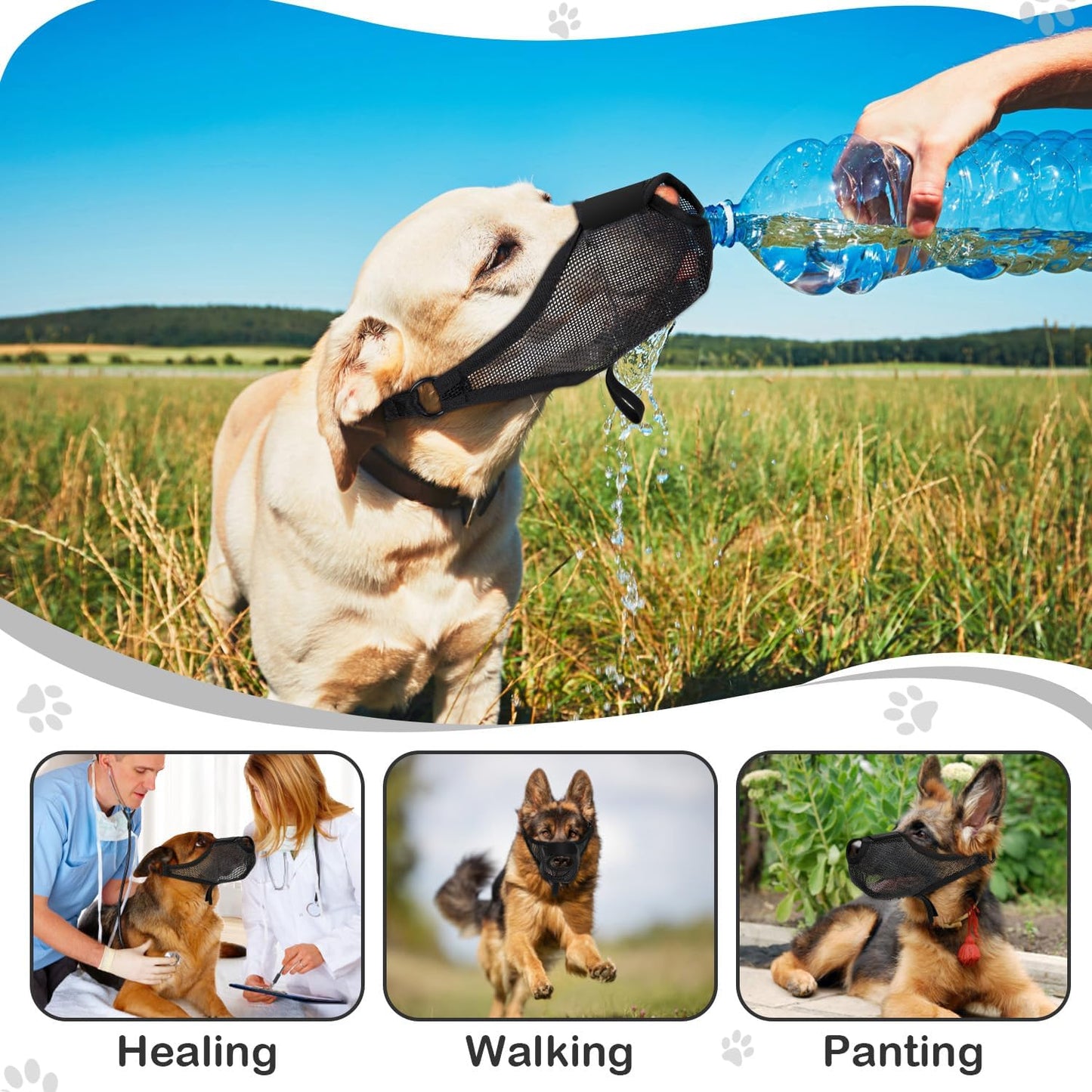 Dog Muzzle, Soft Air Mesh Muzzle for Small Medium Large Dogs Anti Biting Barking Chewing Scavenging, Breathable Adjustable Loop Pets Muzzle with Front Opening Design Allows Panting Drinking (Black,M)