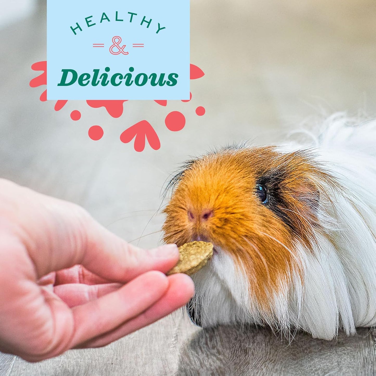 Oxbow Animal Health Natural Science Joint Support, Anti Inflammatory Supplement for Rabbit & Guinea Pig, Oxbow Timothy Hay, Made with Glucosamine, Turmeric, & Yucca, Made in USA, 4.2 oz Bag