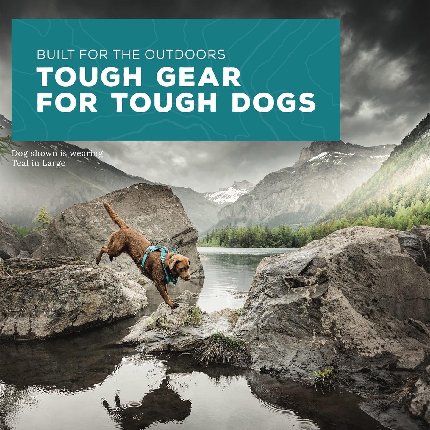 Wilderdog Lightweight Dog Harness with Reflective Straps - Medium - Pacific Blue