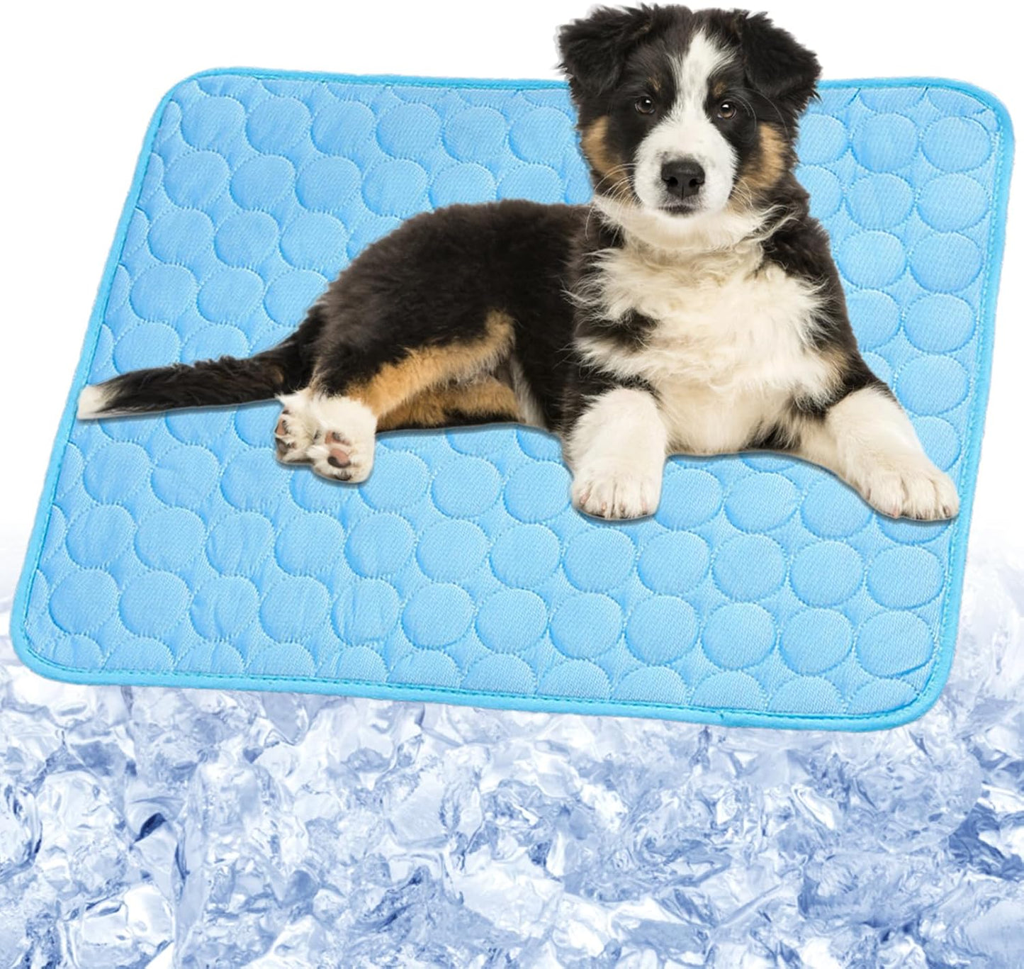Dog Cooling Mat, 2025 Upgraded Cooling Blanket for Dogs, Washable Cool Mat for Dogs for Summer, Portable Pet Coolings Pad for Dogs & Cats Sleeping (28"x22" L Size)