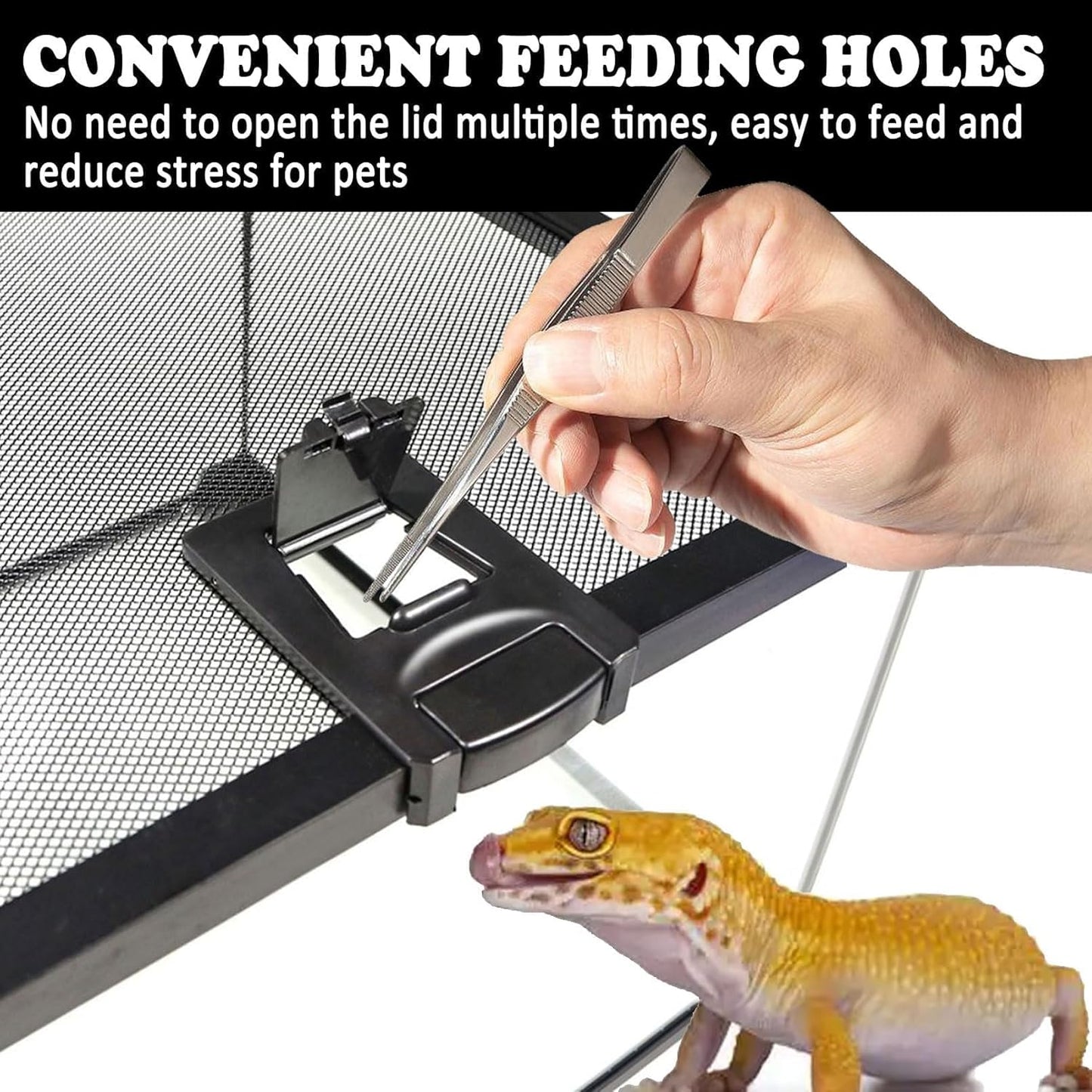 BNOSDM Reptile Tank,8" x 8" x 6" Mini Reptiles Terrarium,Full View Young Lizard Glass Tank,Small Amphibians Habitat Enclosure Cage for Tarantula,Frog,Hermit Crab,Isopods,Insects Breeding Box