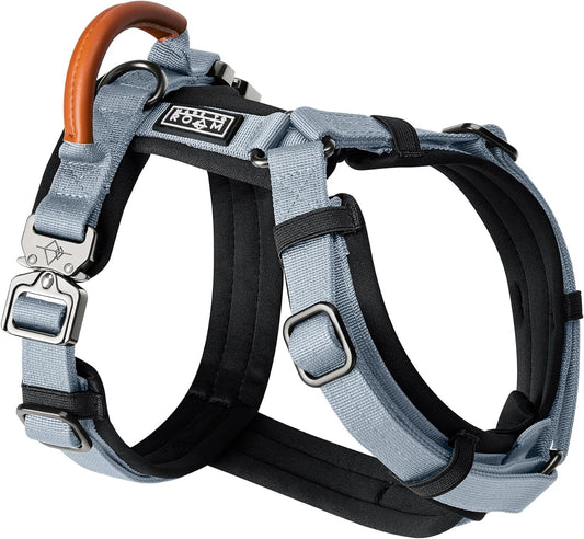 MADE TO ROAM Premium Explorer Harness - Y-Shaped Dog Harness with Adjustable Durable Nylon, Soft Padding, Metal Buckles and Leather Handle for Small, Medium, Large Dogs (Virginia Mountains, Size 1)