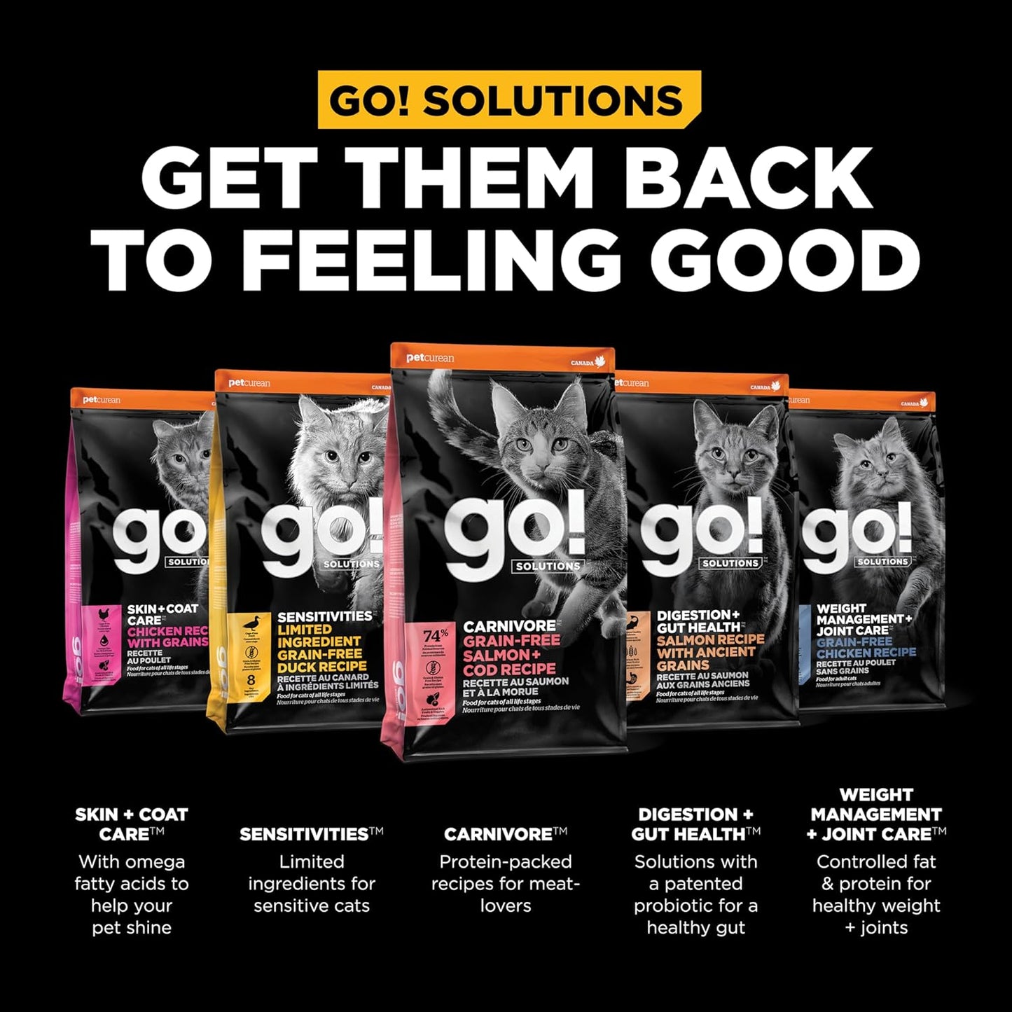 Go! Solutions Carnivore, Grain-Free, Protein Rich Dry Cat Food, Salmon and Cod Recipe, 8 lb Bag