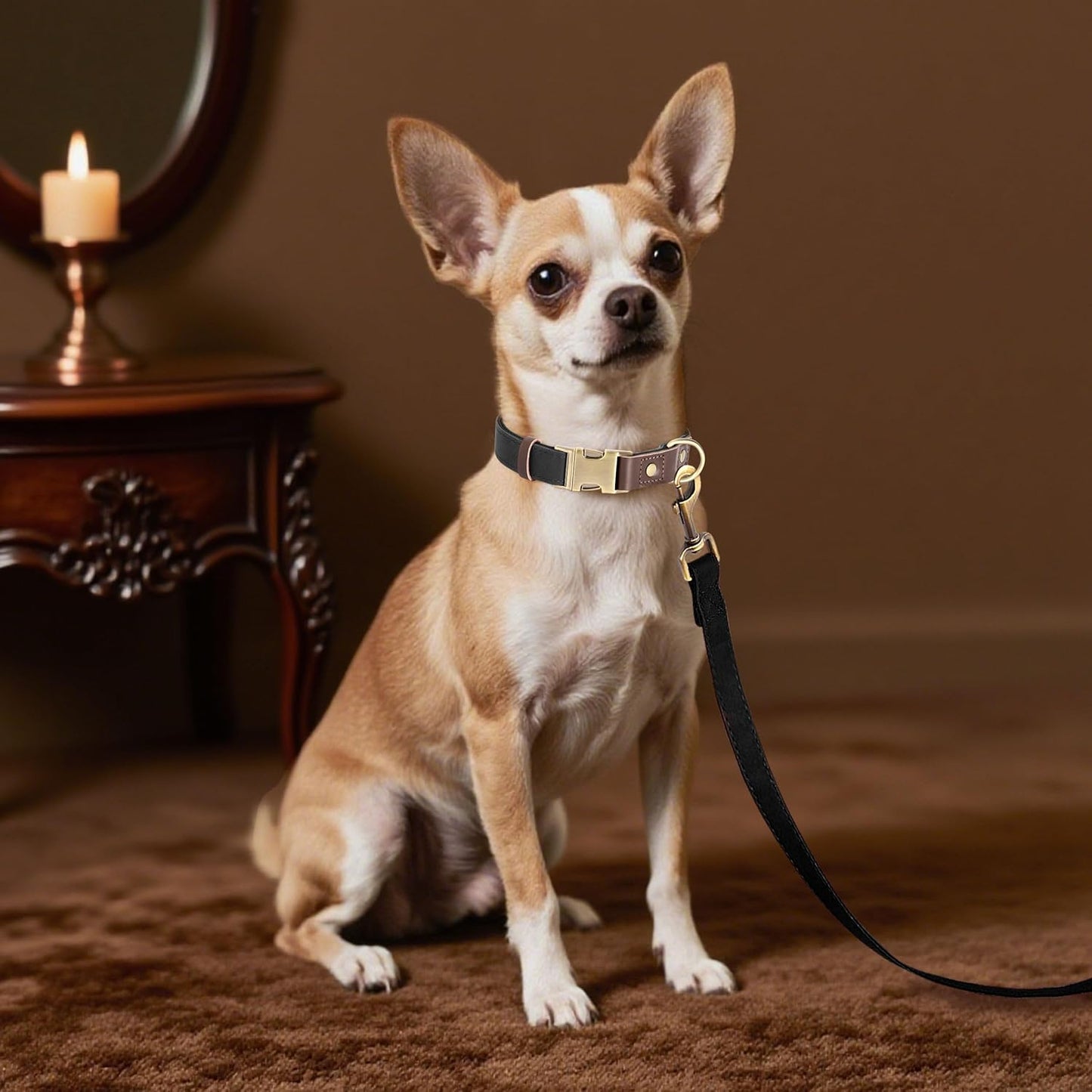 Didog Soft PU Leather Dog Collars for Small Dogs,Classic Adjustable Dog Collars with Quick Release Metal Buckle,Easy Clean and Comfortable with Nylon Lining,Black,S Neck 10-15"