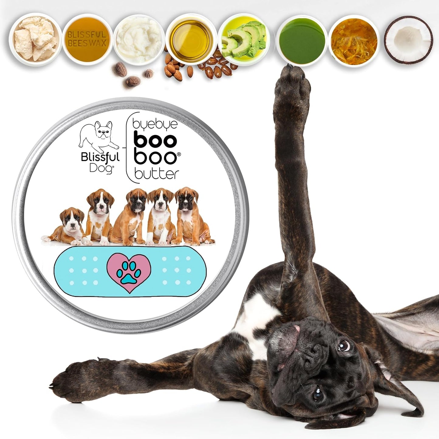 The Blissful Dog Boxer Boo Boo Butter, 16 oz.