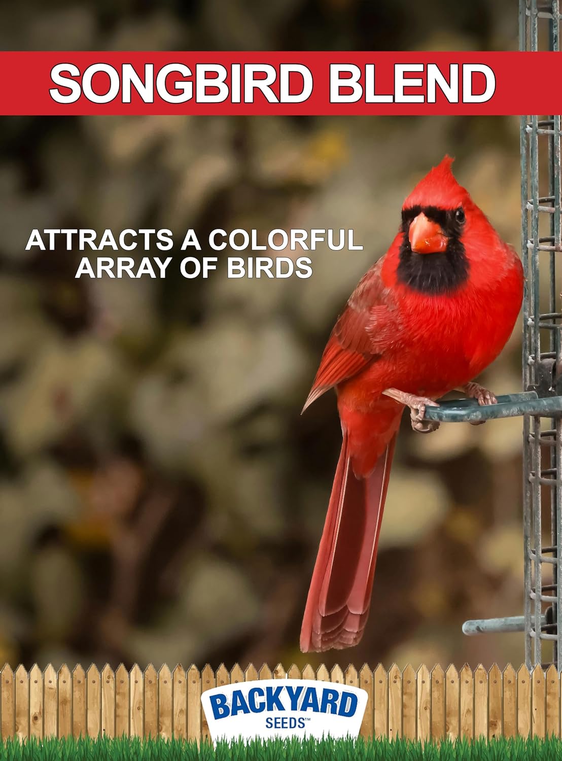 Backyard Seeds Songbird Blend Bird Seed Great Variety (14 Pounds)