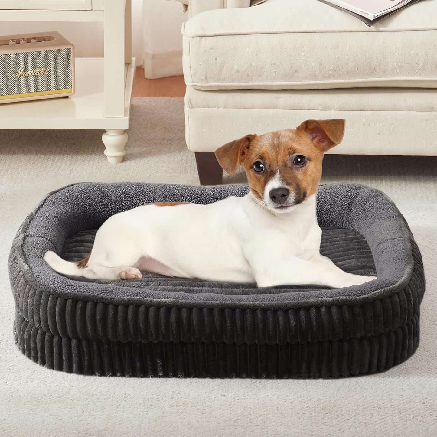 Orthopedic Dog Bed for Small Dogs Breeds, High Density Egg Crate Foam Dog Sofa Beds,Oval Kennel Bed, Pet Couch Bed with Four Sided Bolster, Removable Washable Cover& Non-Slip Bottom