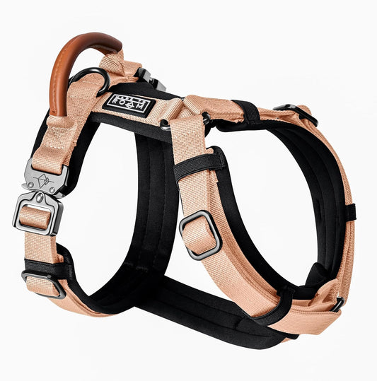 MADE TO ROAM Premium Explorer Harness - Y-Shaped Dog Harness with Adjustable Durable Nylon, Soft Padding, Metal Buckles and Leather Handle for Small, Medium, Large Dogs (Carolina Blooms, Size 6)
