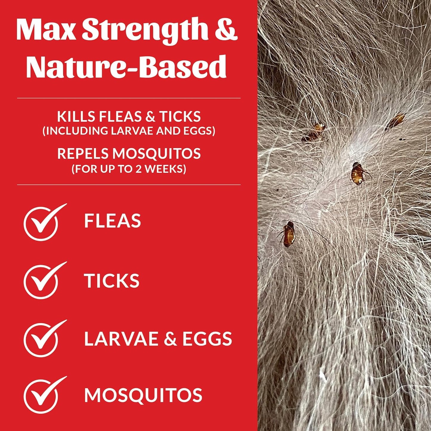 Skout's Honor Flea and Tick Dog & Home Spray - Natural Peppermint & Cedarwood Formula, Helps to Protect from Fleas, Ticks, and Mosquitos, 28 oz