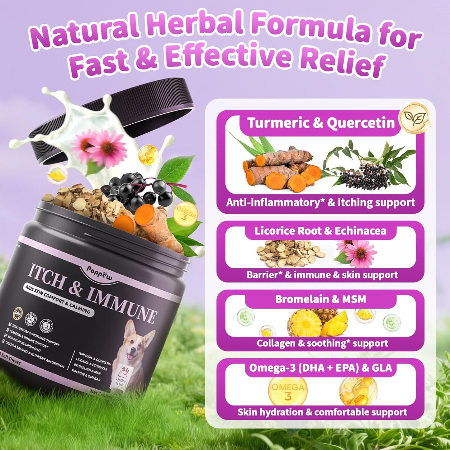 Dog Allergy Relief Chews, Itch Relief for Dogs – Turmeric & Omega-3 Supplements for Skin Comfort, Coat Health & Seasonal Support, Immune Care with Biotin & Quercetin – Chicken Flavor, 90 Count