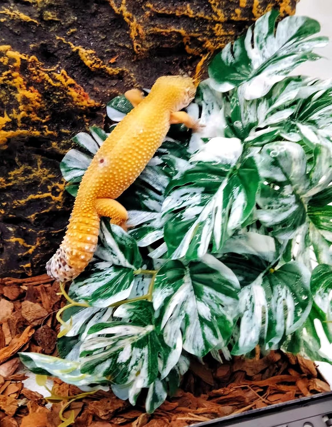 Reptile Plants for Terrarium, Amphibian Habitat Decor Artificial Hanging Plants with Suction Cup, Artificial Plants for Gecko Chameleon Snake Tortoise Tank Accessories. 2-Pack (Monstera)