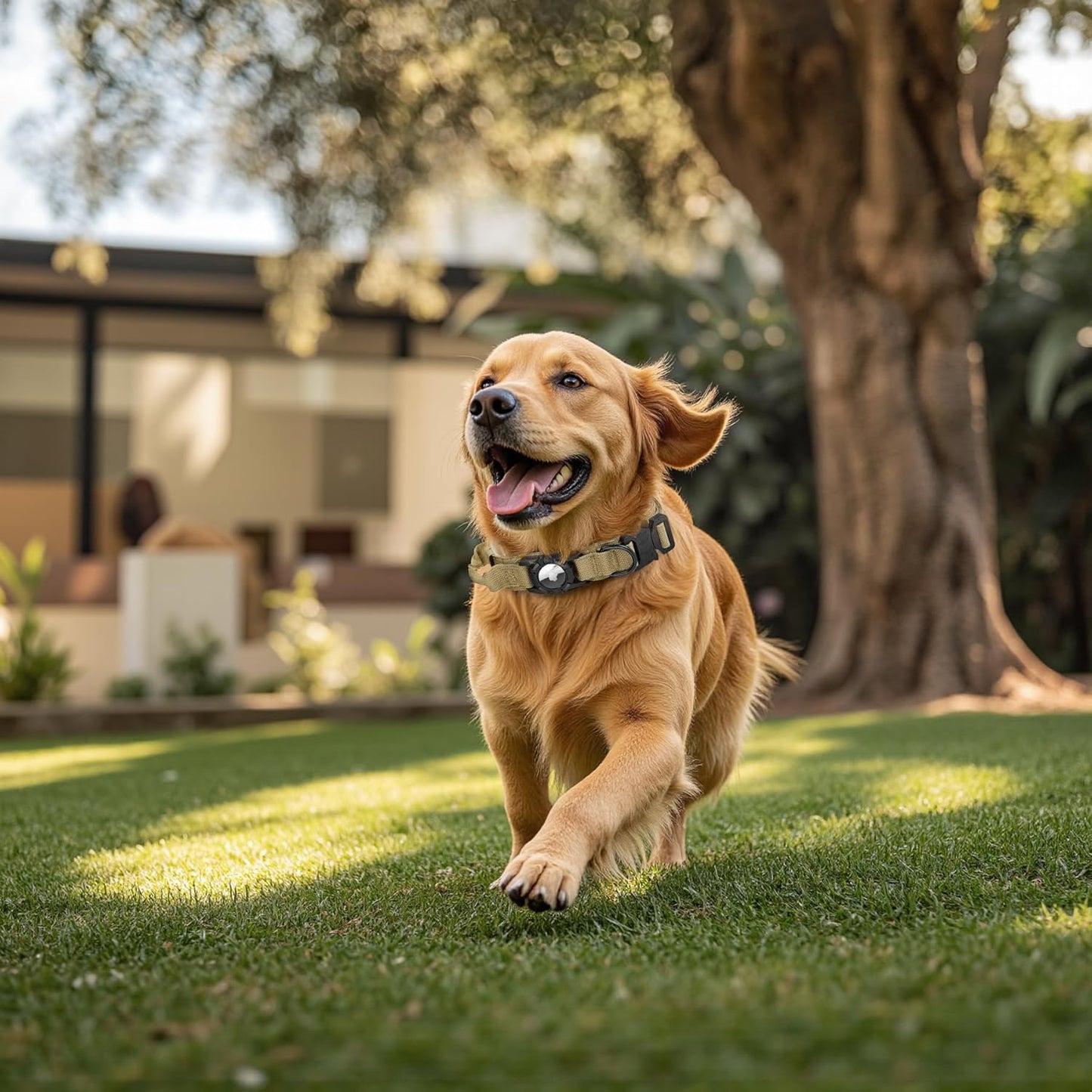 Tactical AirTag Dog Collar - Heavy Duty, Adjustable GPS Collar Compatible with Apple AirTag, with Holder & Control Handle for Medium/Large Dogs [ Brown, XL ]
