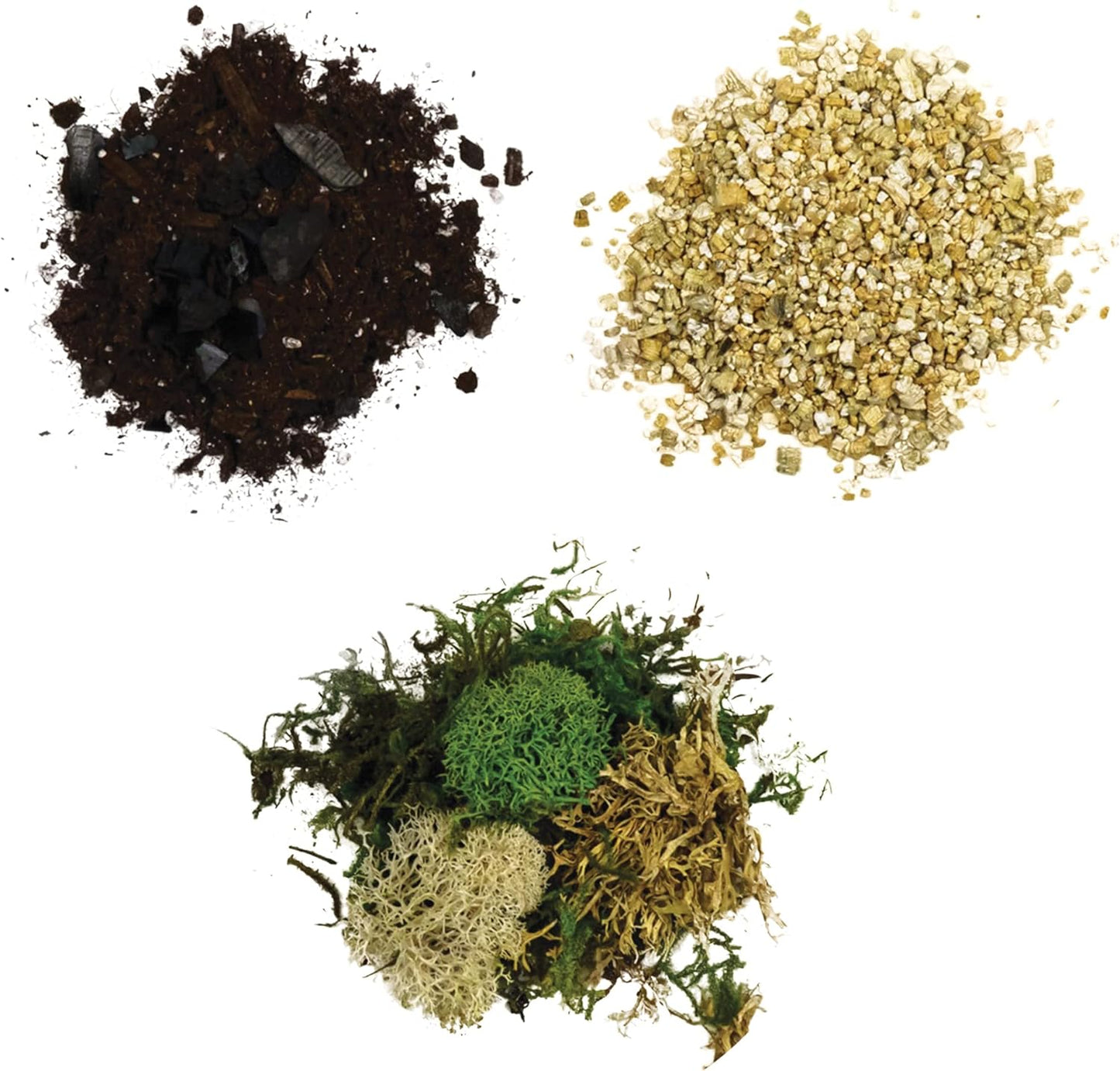 Cute Farms Glass Terrarium Kit | Just Add Your Own Plants (Two Glass Cylinders (3.25"))