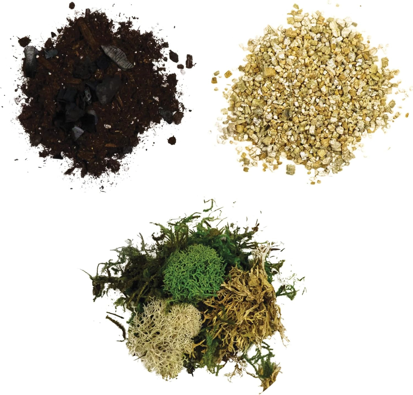 Cute Farms Glass Terrarium Kit | Just Add Your Own Plants (Two Glass Bowls)