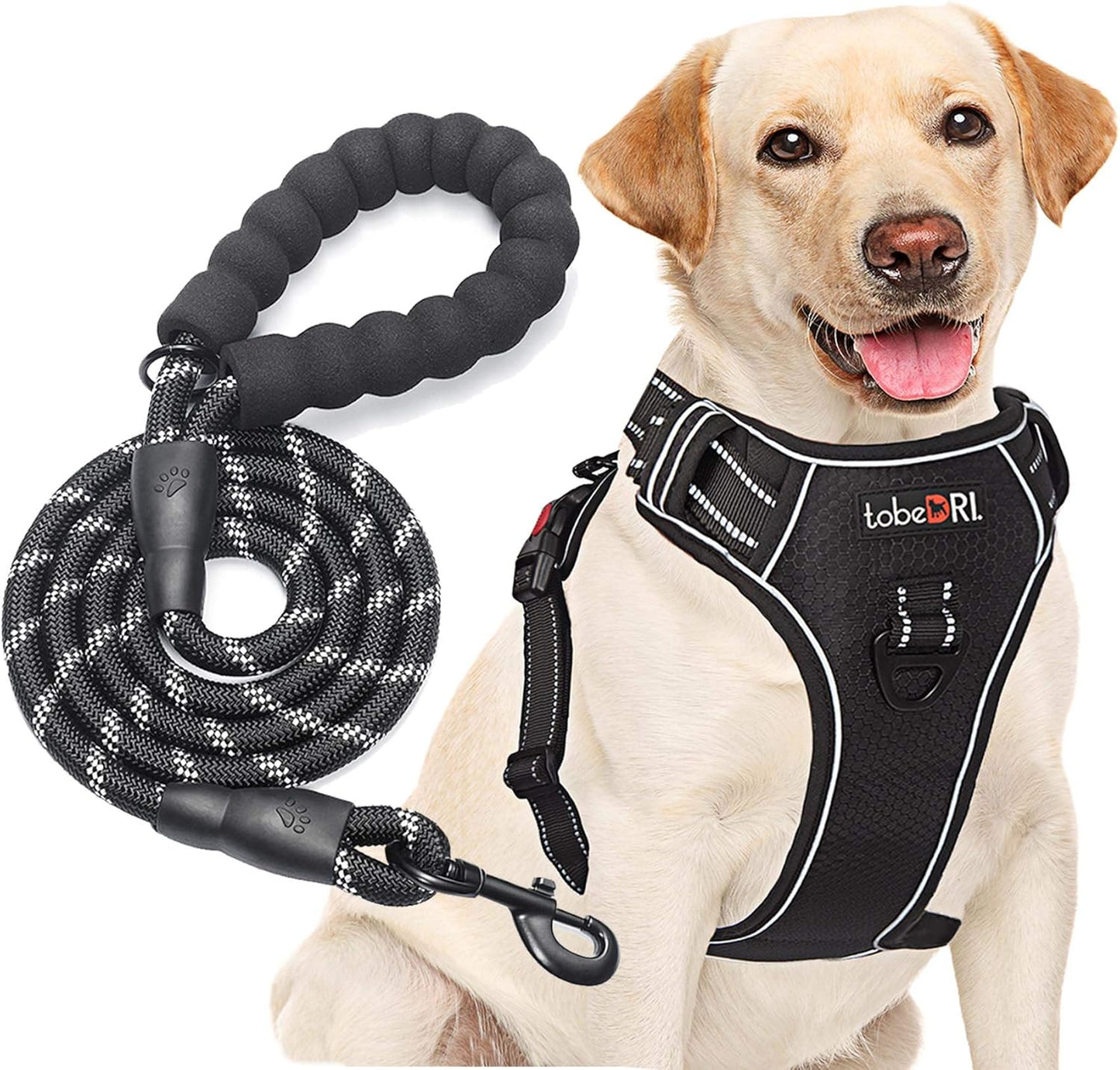 No Pull Dog Harness Adjustable Reflective Oxford Easy Control Medium Large Dog Harness with A Free Heavy Duty 5ft Dog Leash (XL (Neck: 21.5"-33", Chest: 30"-39.5"), Black Harness+Leash)