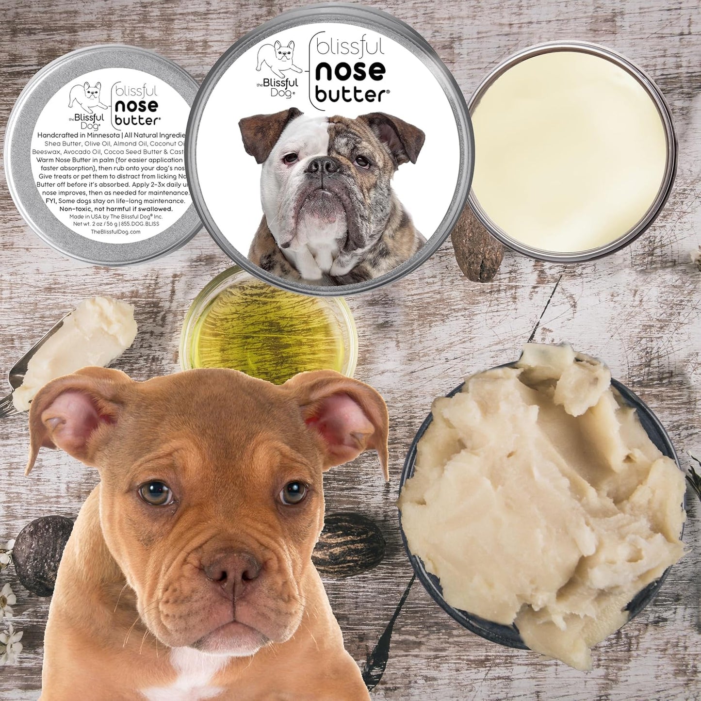 The Blissful Dog Olde English Bulldogge Nose Butter for Dry, Cracked Skin, Lick-Safe Dog Nose Balm with Moisturizing Shea Butter, Almond, Olive, and Essential Oils, Pet Supplies, Uncented, 2 oz.