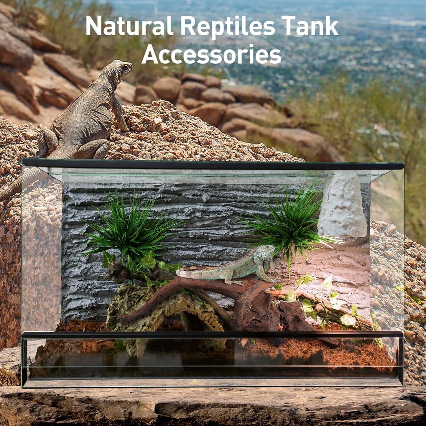 WDEFUN Natural Driftwood for Aquarium Decor, 5-Piece 5''-8'' Large Driftwood for Decorations on Fish Tank, Reptiles Bearded Dragon Accessories or Air Plants