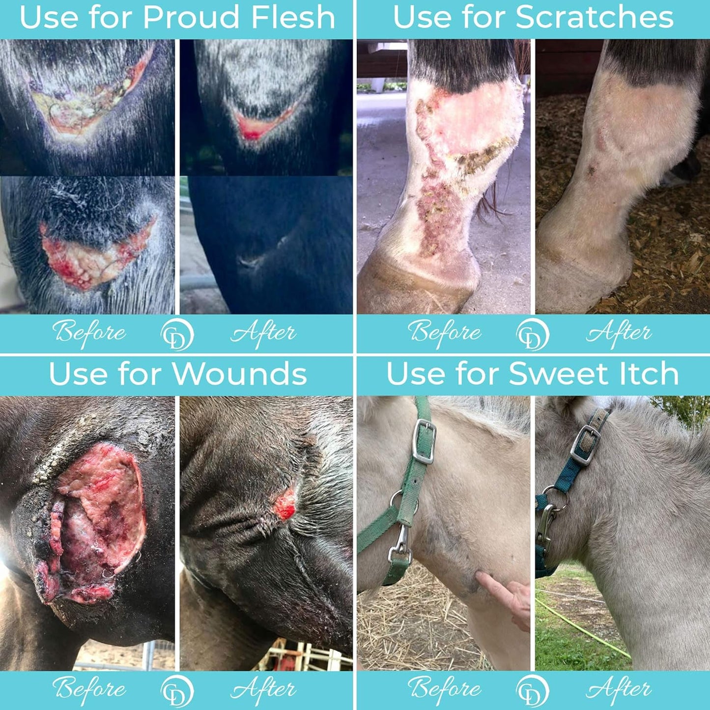 COAT DEFENSE Trouble Spot Drying Paste for Horses - Natural Equine Wound Care That Provides Safe & Effective Relief from Scratches, Sweet Itch, Summer Sores, Proud Flesh, Mud Fever, Girth Rot (24 Oz)