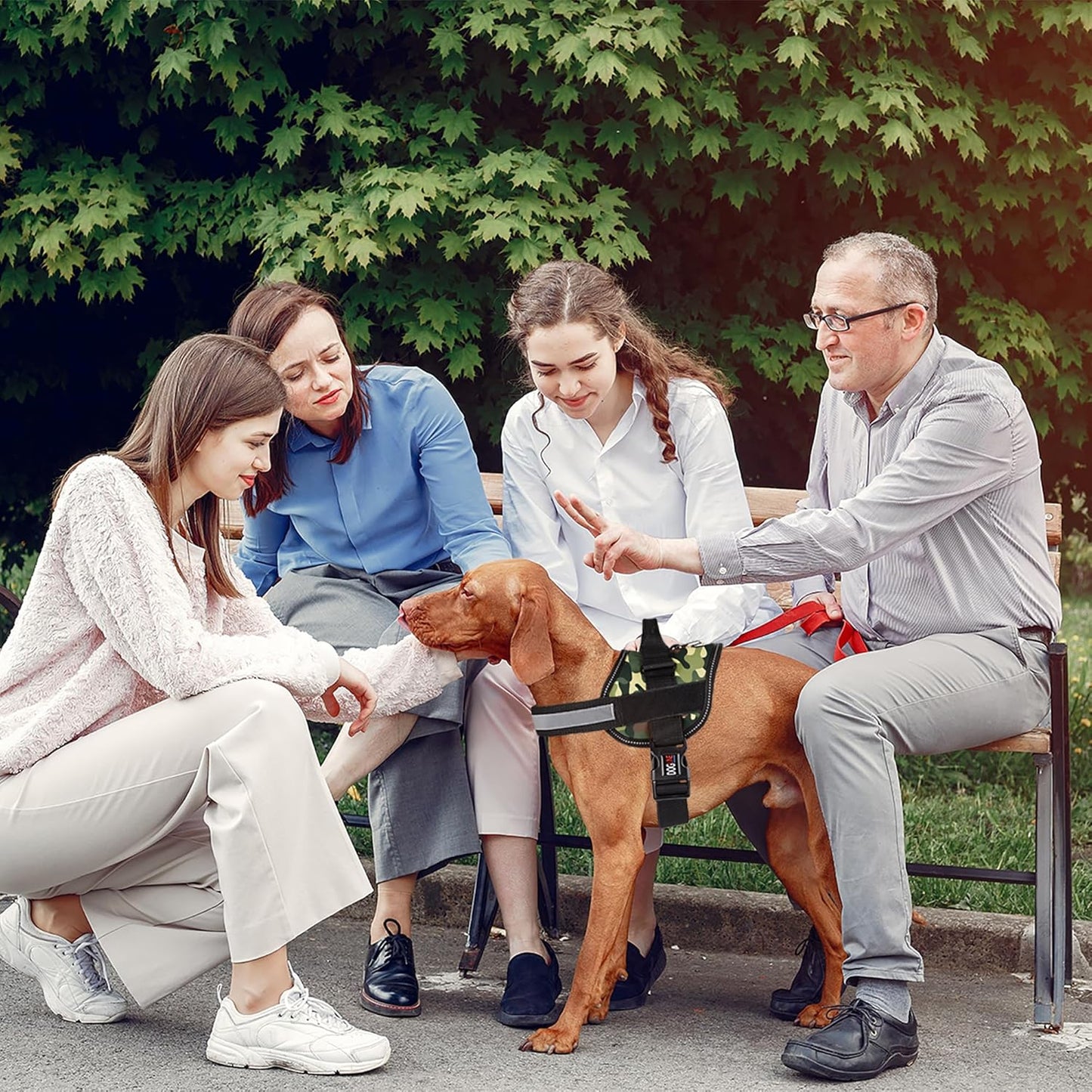 Dogline Dog Harness, Reflective No-Pull Adjustable Vest with Handle for Walking, Training, Breathable, No - Choke Harness for Small, Medium or Large Dogs Room for Patches Girth 33"-46" in Green Camo