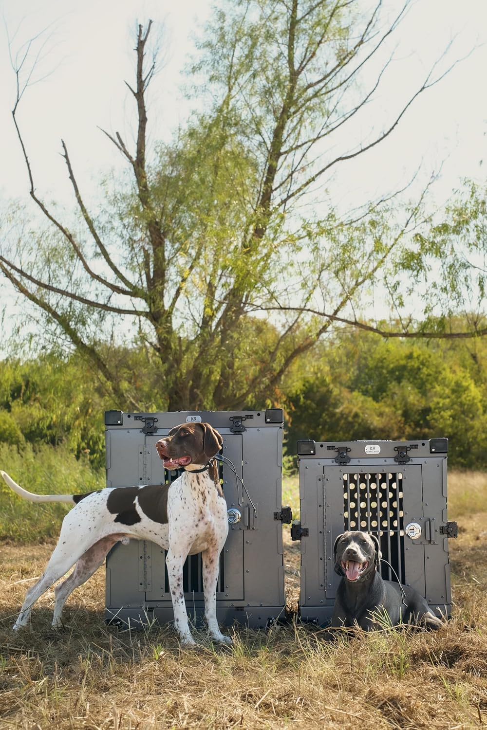 Heavy Duty Fully Collapsible Powder-Coated Aluminum Dog Crate - Large (Gray)