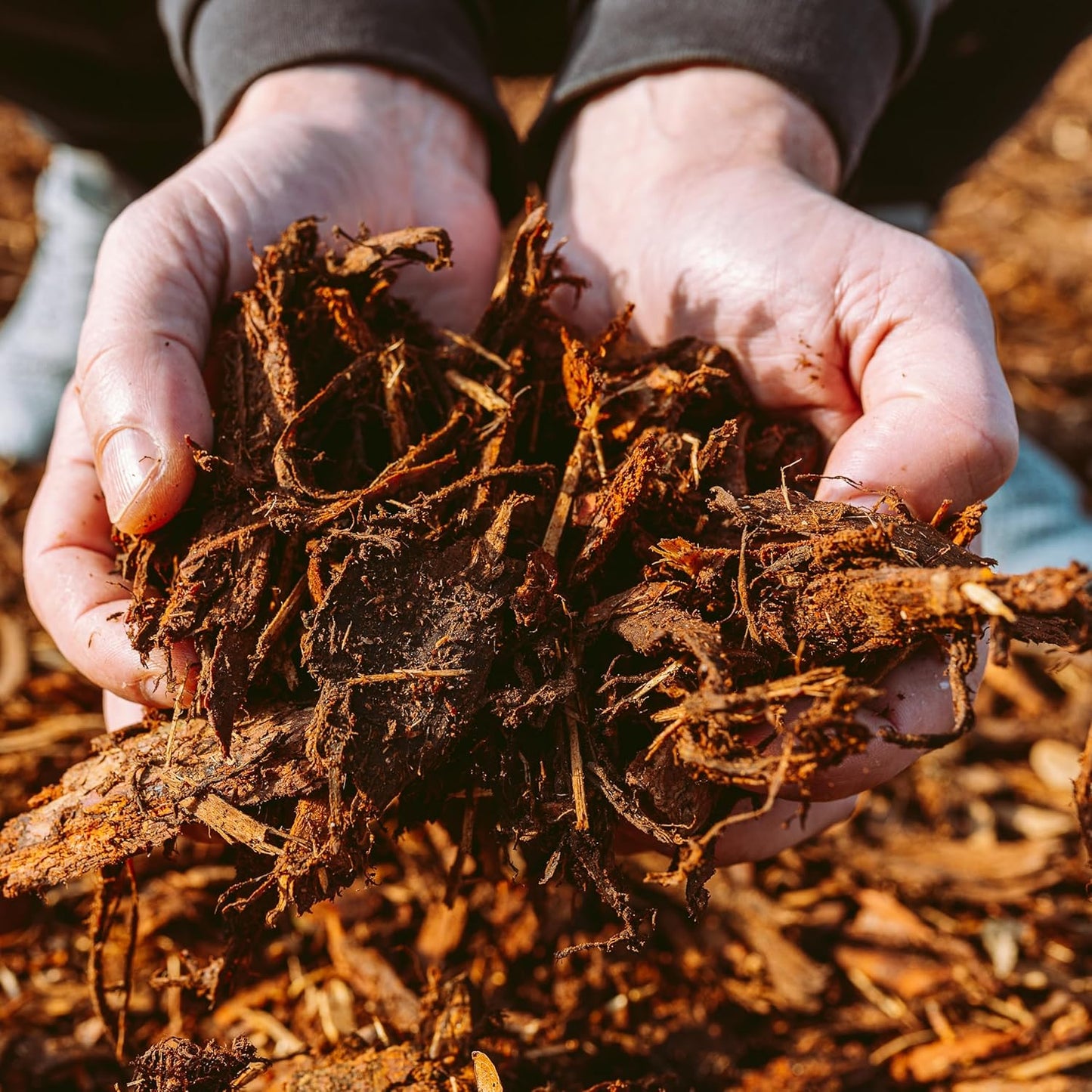 Premium Gold Wood Mulch for Landscaping, Gardens, Lawns, Potting Media, and Potted Plants (0.2 CF - 4.8 L - 5 QTS)