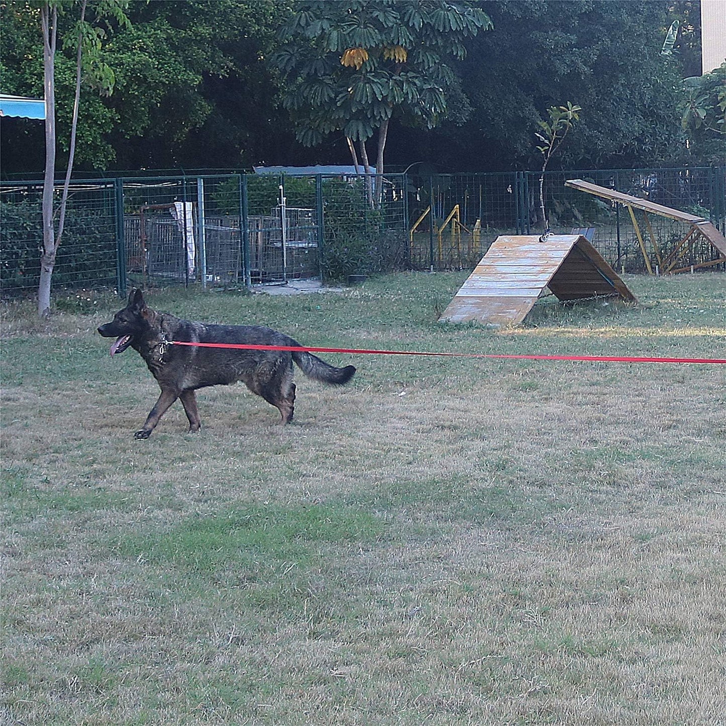 Dog/Puppy Obedience Recall Training Agility Lead - 15ft 20ft 30ft 40ft 50ft Training Leash - Great for Play, Camping, or Backyard - Pink 50ft (Pink, 50 Feet)