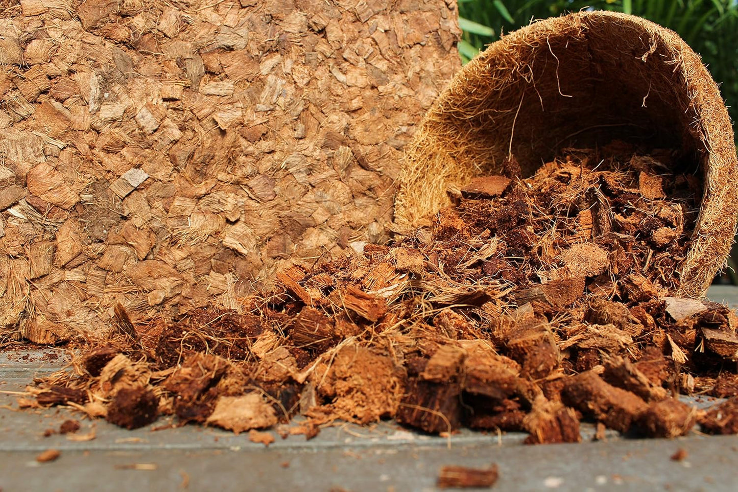 Organic Coco Chips for Plants (10lbs) - Coco Coir Chips - Coconut Husk Chips for Potting Soil, Garden Soil, & Seed Starter Soil - Coconut Mulch for Garden - Compressed Coconut Chips for Plants