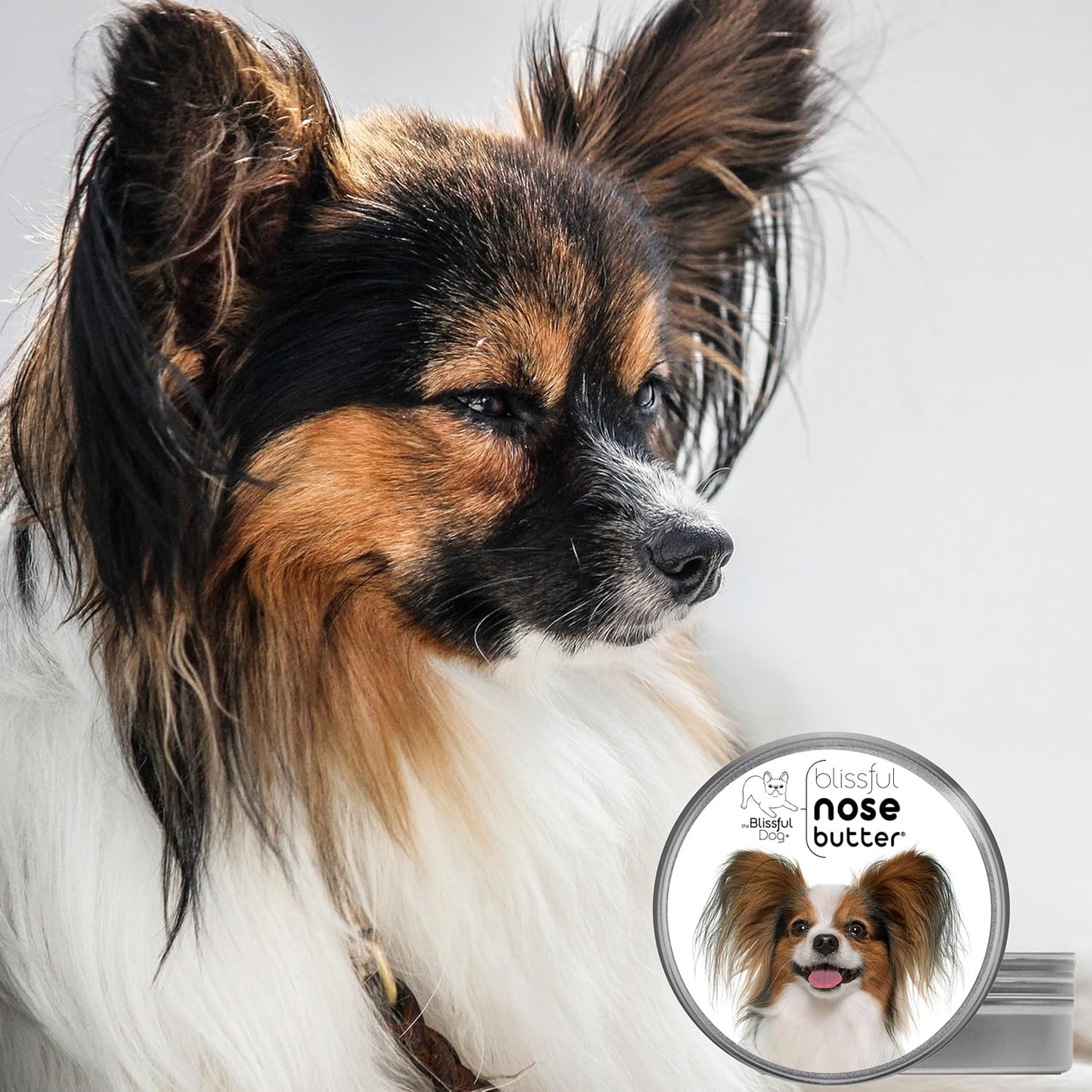 The Blissful Dog Papillon Unscented Nose Butter - Dog Nose Butter, 16 Ounce