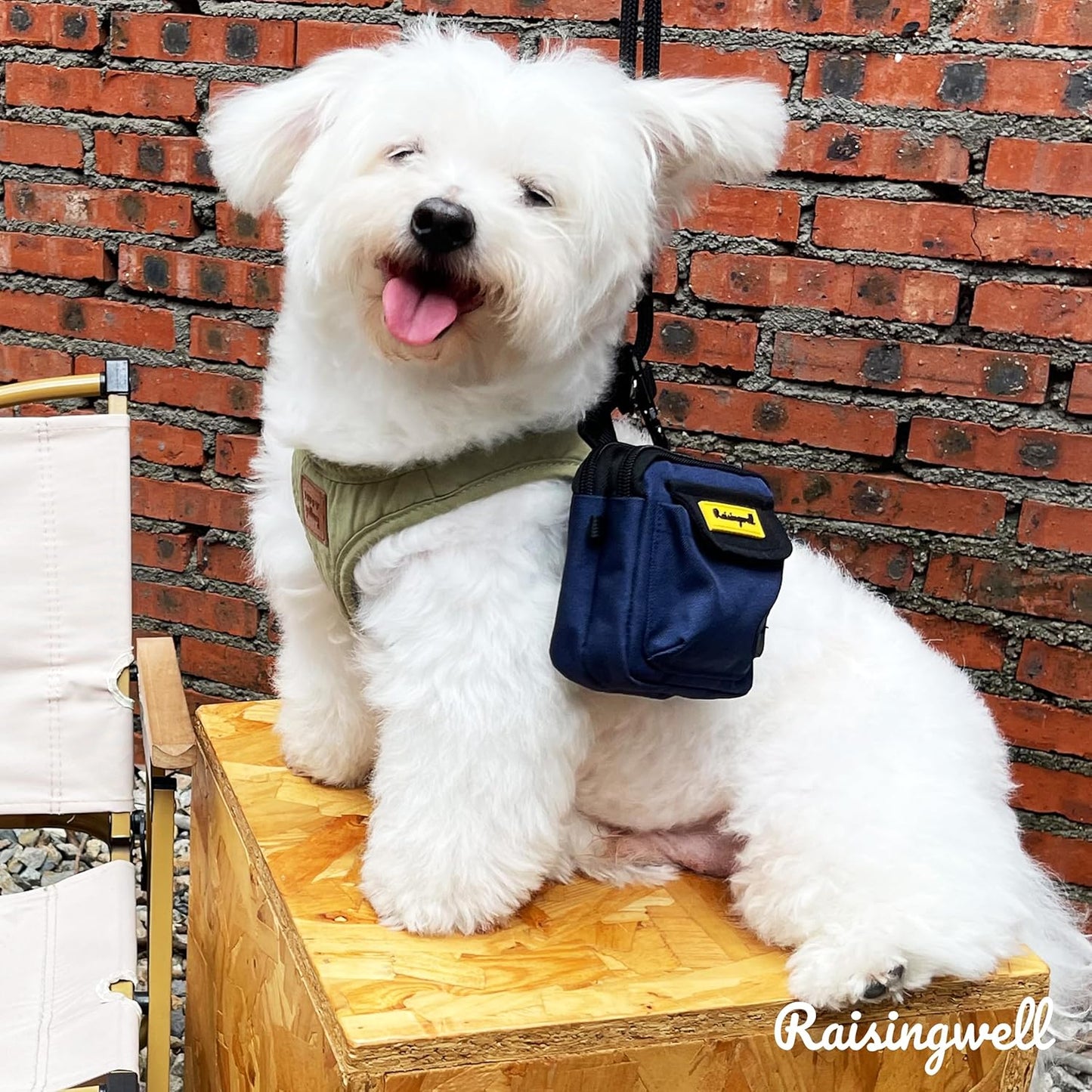 Dog Treat Pouch for Pet Walking and Training with Clicker, Poop Bags and Three Bags Design Small Fanny Zipper Pack Holder for Puppy Snack Dispenser Kit for Leash and Outdoor Use (Blue)