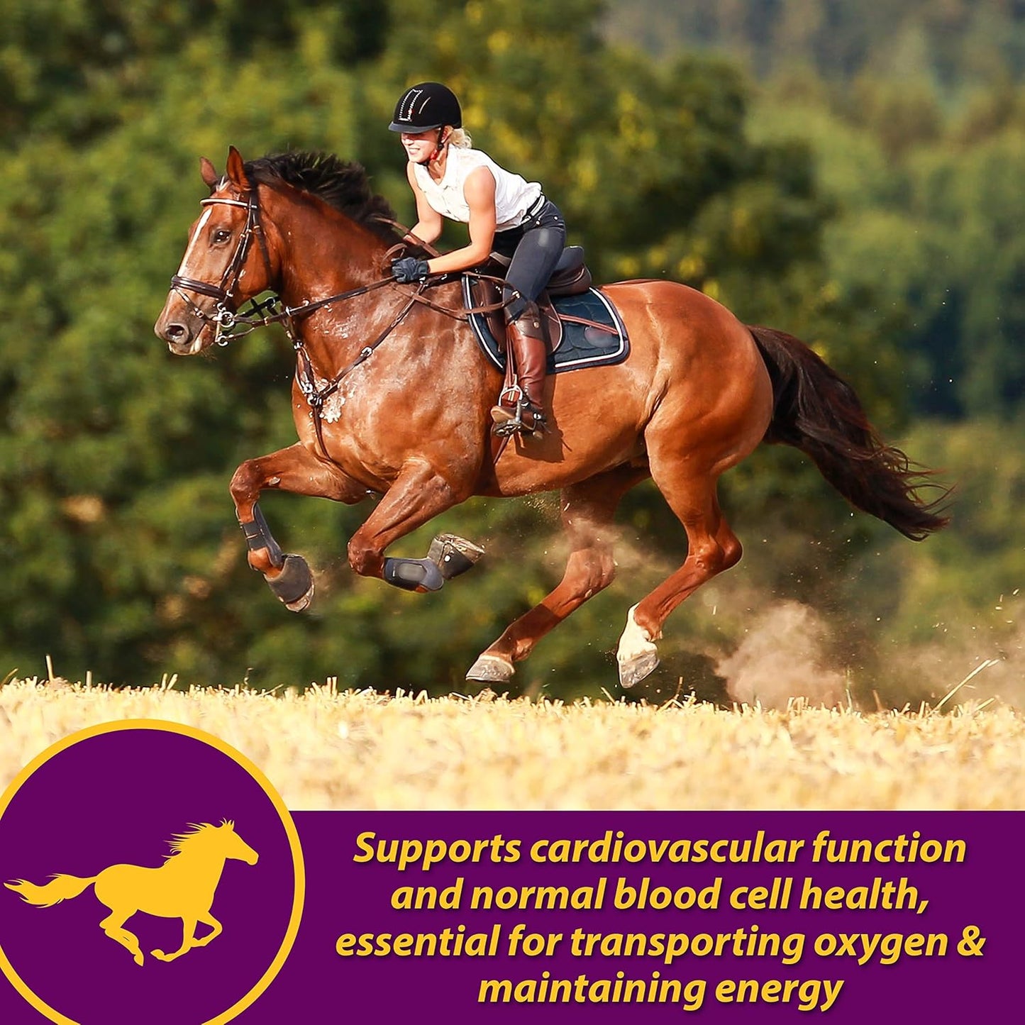 Farnam Horse Health Red Cell Pellets, Vitamin-Iron-Mineral Supplement for Horses, Helps Fill Important Nutritional Gaps in Horse's Diet, 4 lbs., 64-Day Supply