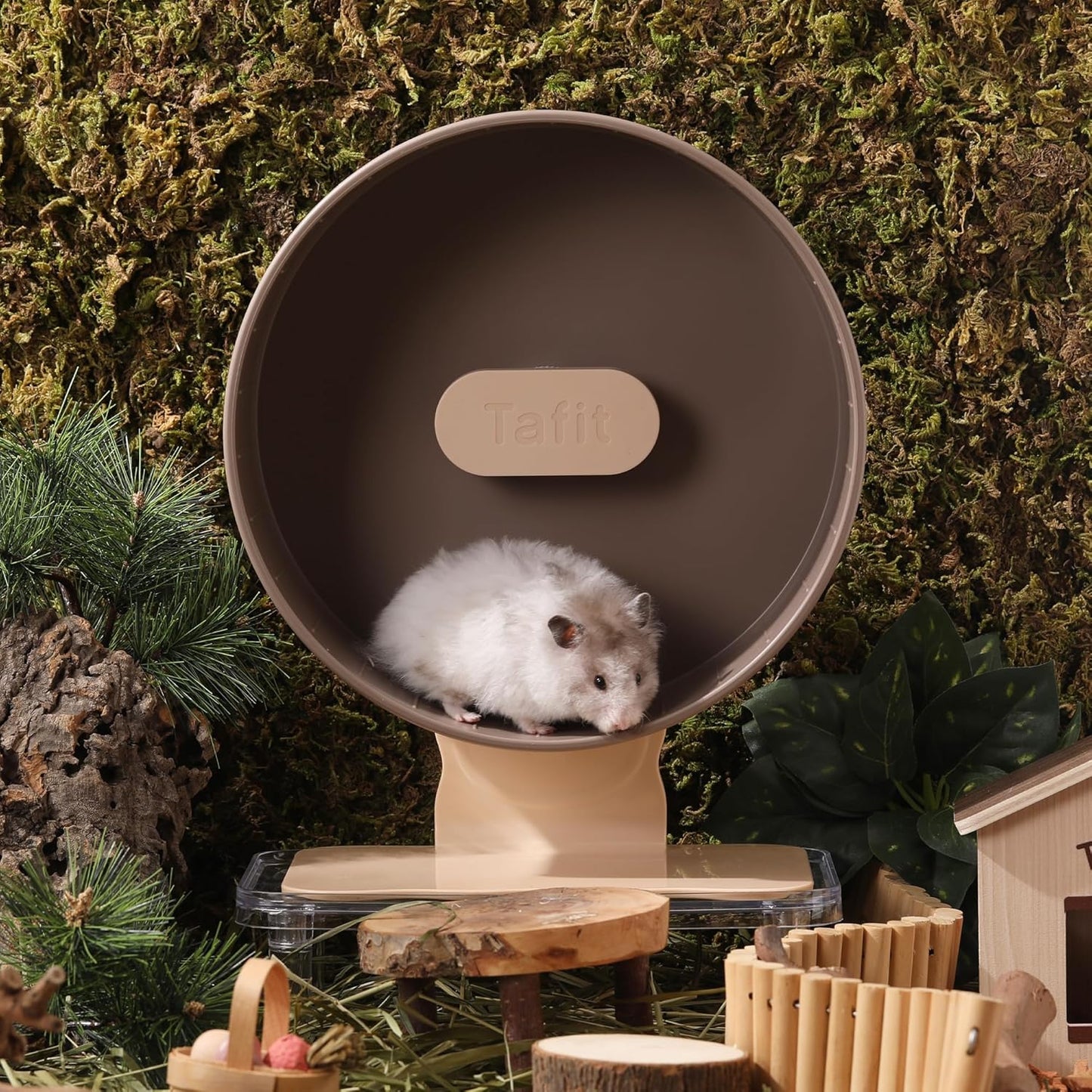 Quiet Hamster Wheel 10.2 Inch Dual-Bearings Silent Small Animals Running Exercise Wheel Height Adjustable for Syrian Hamsters, Gerbils, Rats, or Other Small Pets, Nut Brown