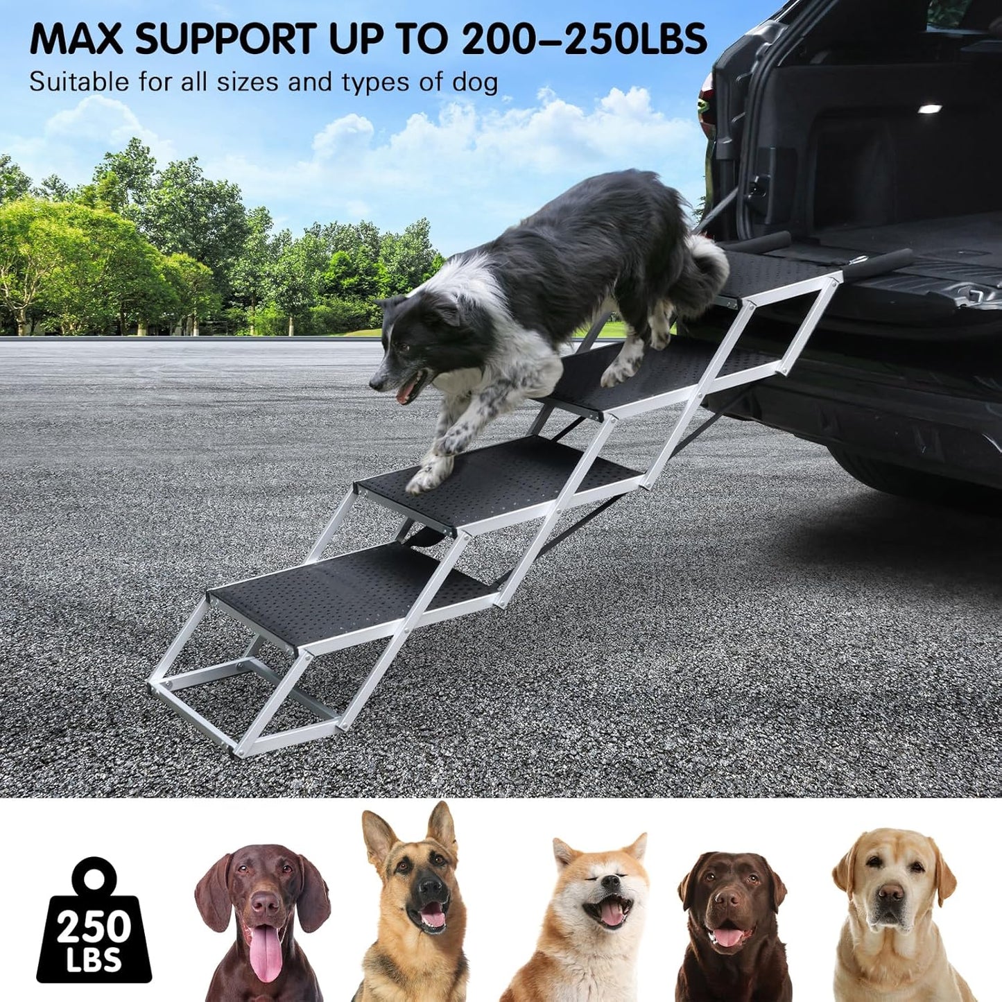 DGSL Dog Ramp for Car, 4-Step Folding Dog Stairs, Aluminum, Black, Supports Up to 250 Lbs