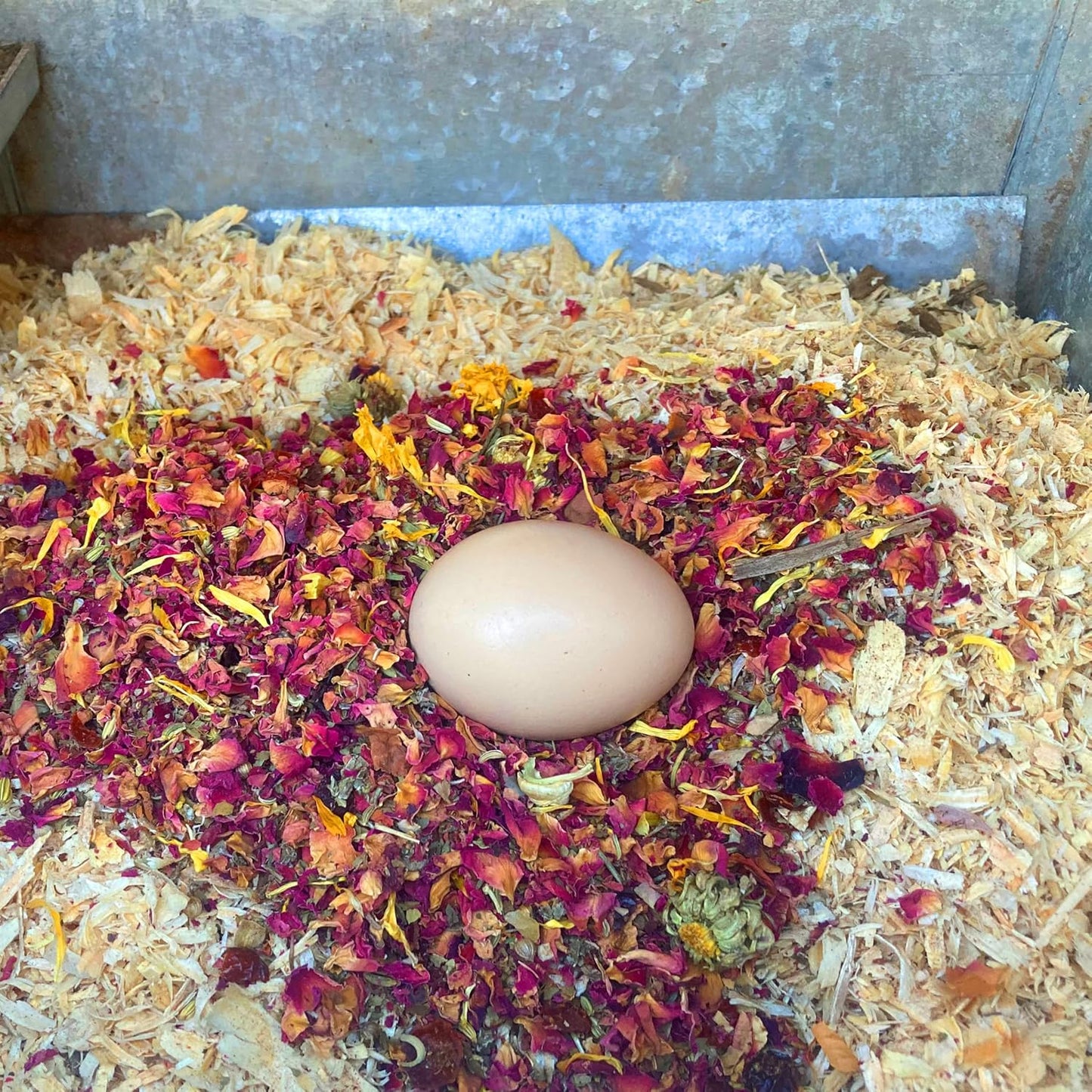 WormBGone Non-GMO Backyard Chicken Nesting Herbs (1 Pound)