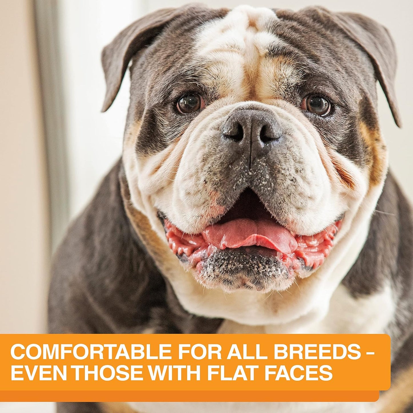 Neater Feeder Express Mess Proof Dog Bowls Elevated for Medium and Large Breed – Made in USA – No Spill Raised Slow Feeder Elevated Dog Bowl Stand, Slow Feed Food and Water Bowl Set, Cappuccino